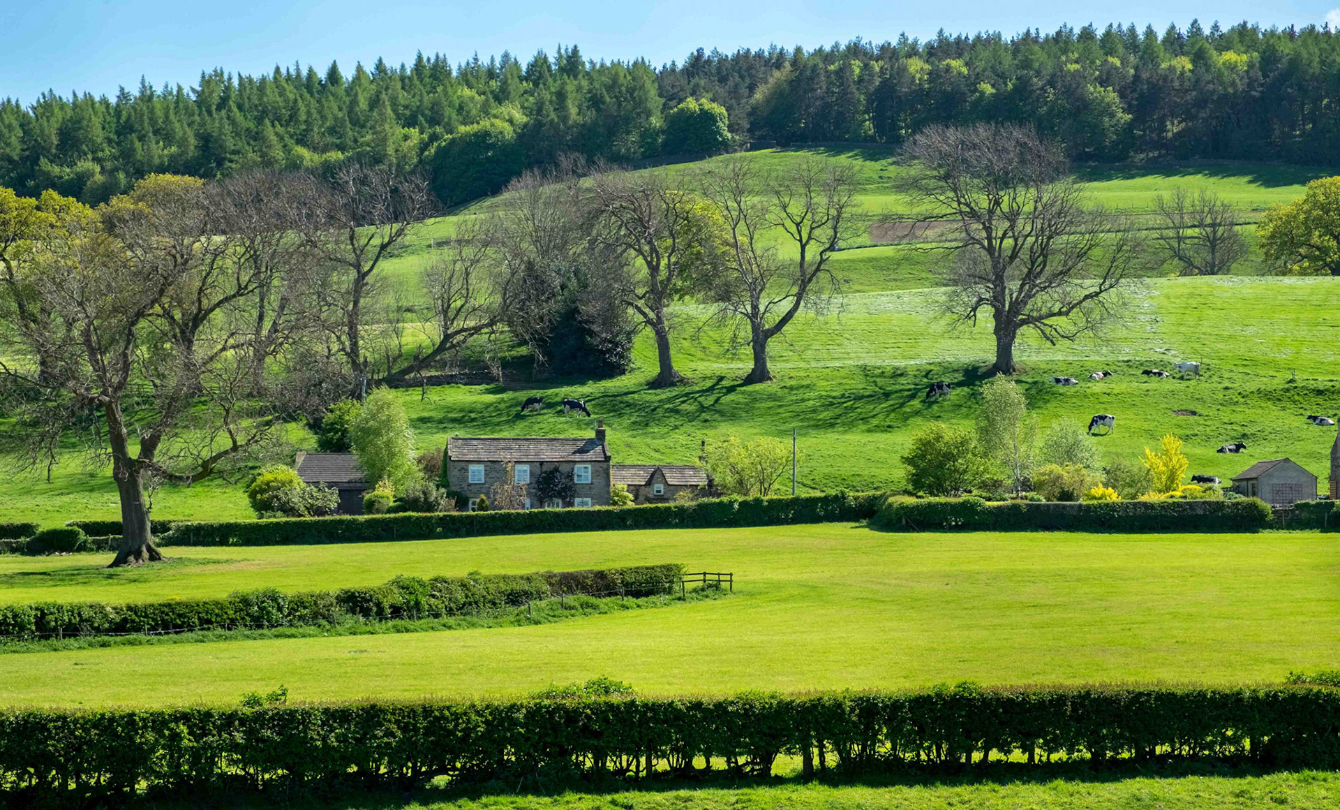 Landscape near East Whitton - North Yorkshire UK 2017