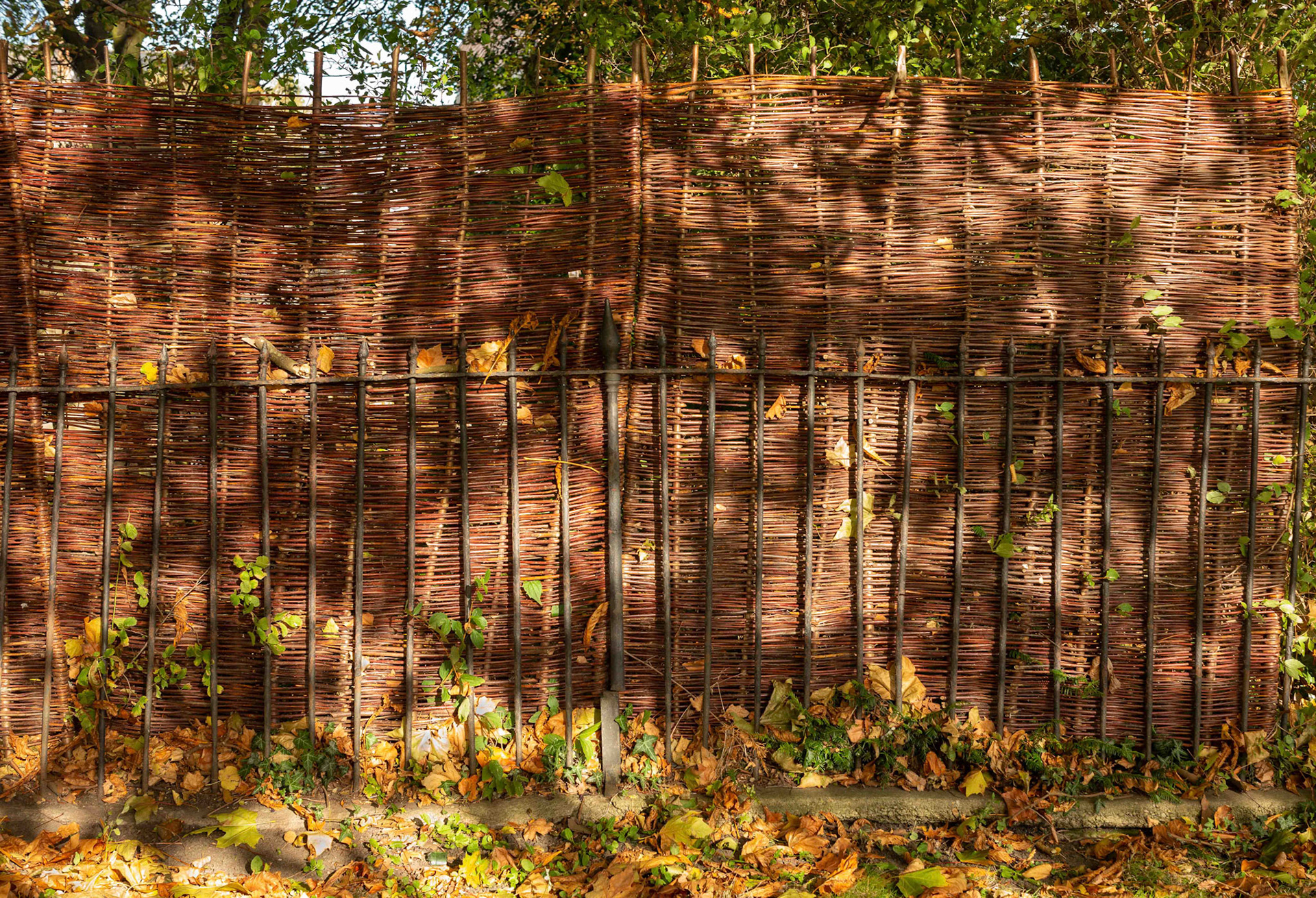 Autumn in York - UK 2018