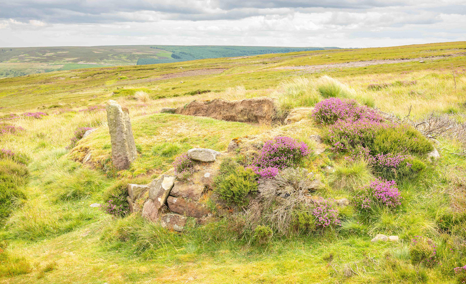 Marker Stone - Glaisdale Low Moor North York Moors UK 2023