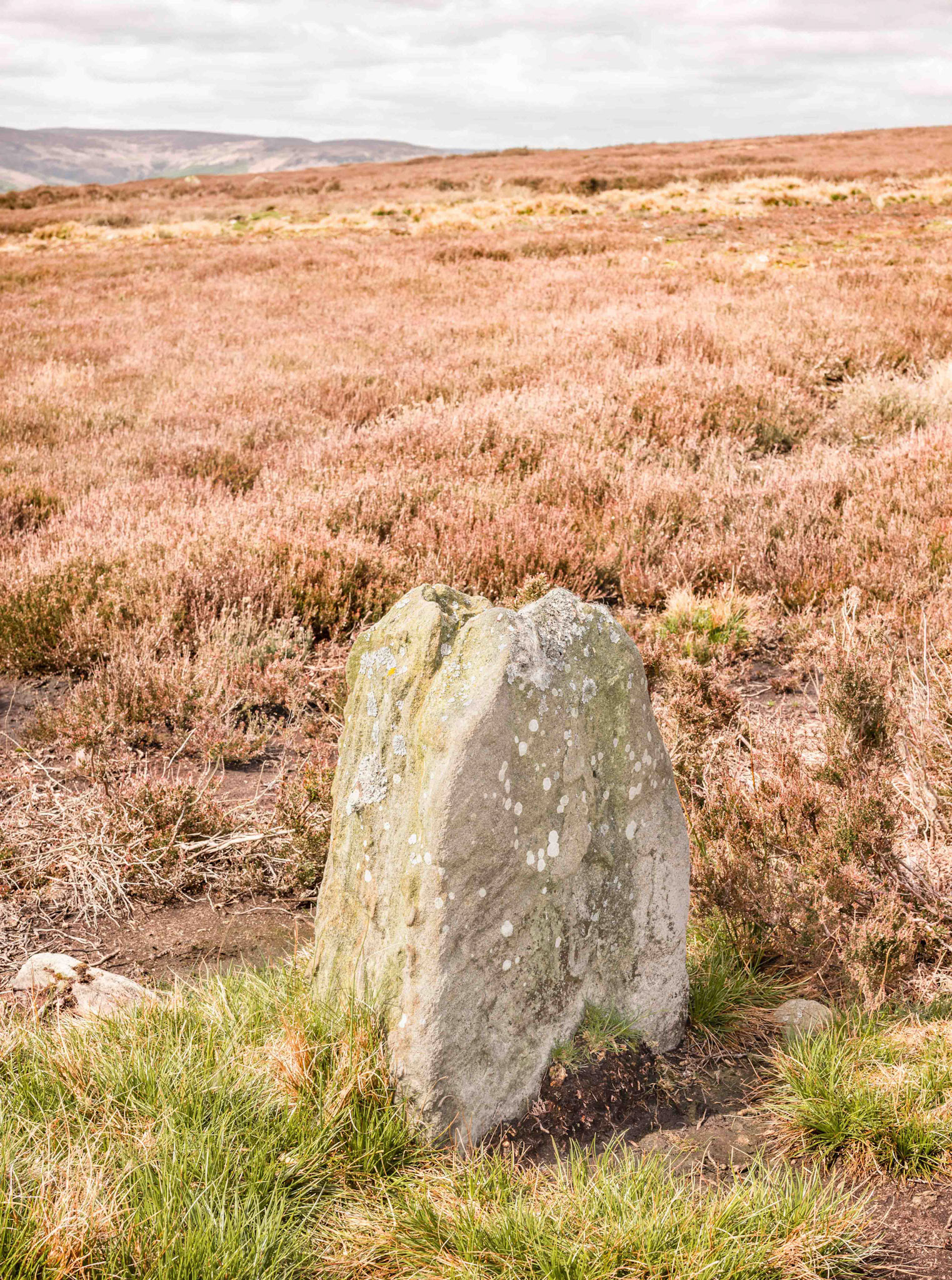 Lund Road Standing Stone - Blakey Ridge North York Moors 2024