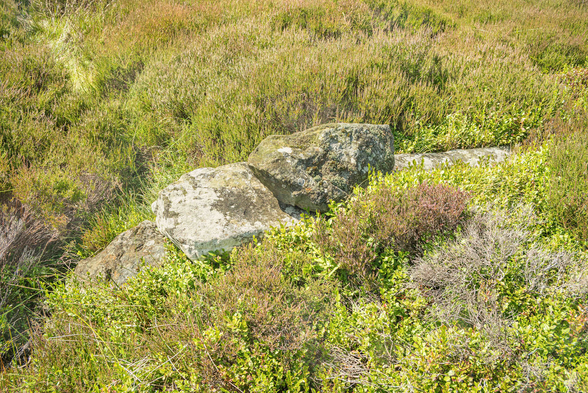 Hole Stoop on Blakey Ridge Looking North-West - North York Moors UK 2024