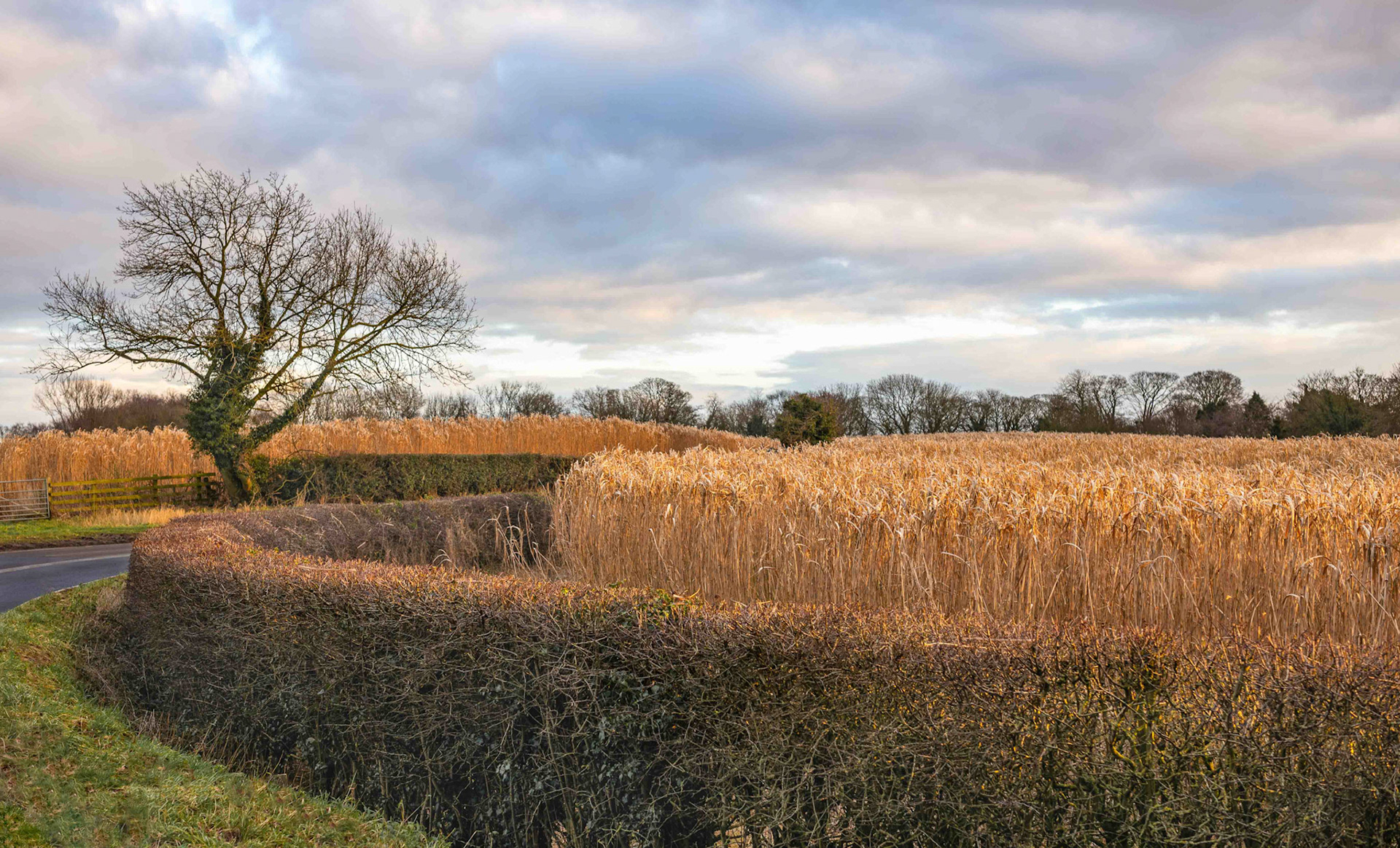 The Bend - North Yorkshire UK 2018