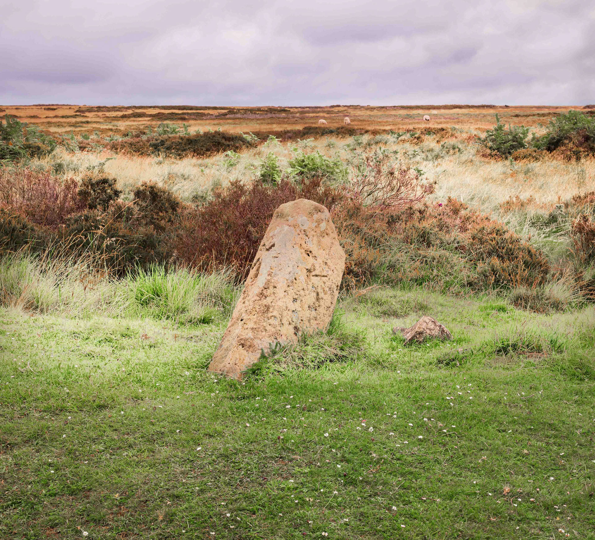 Steeple Cross - North York Moors UK 2020