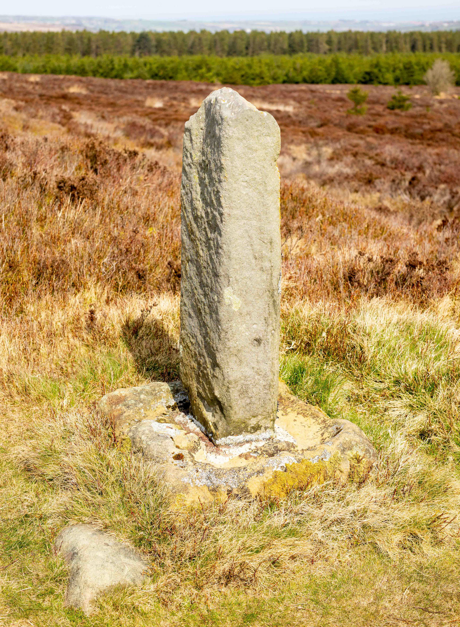York Cross - Sneaton High Moor North York Moors UK 2021