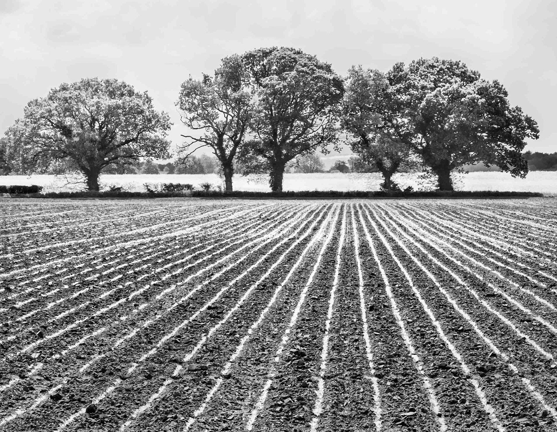 Landscape - North Yorkshire UK 2020
