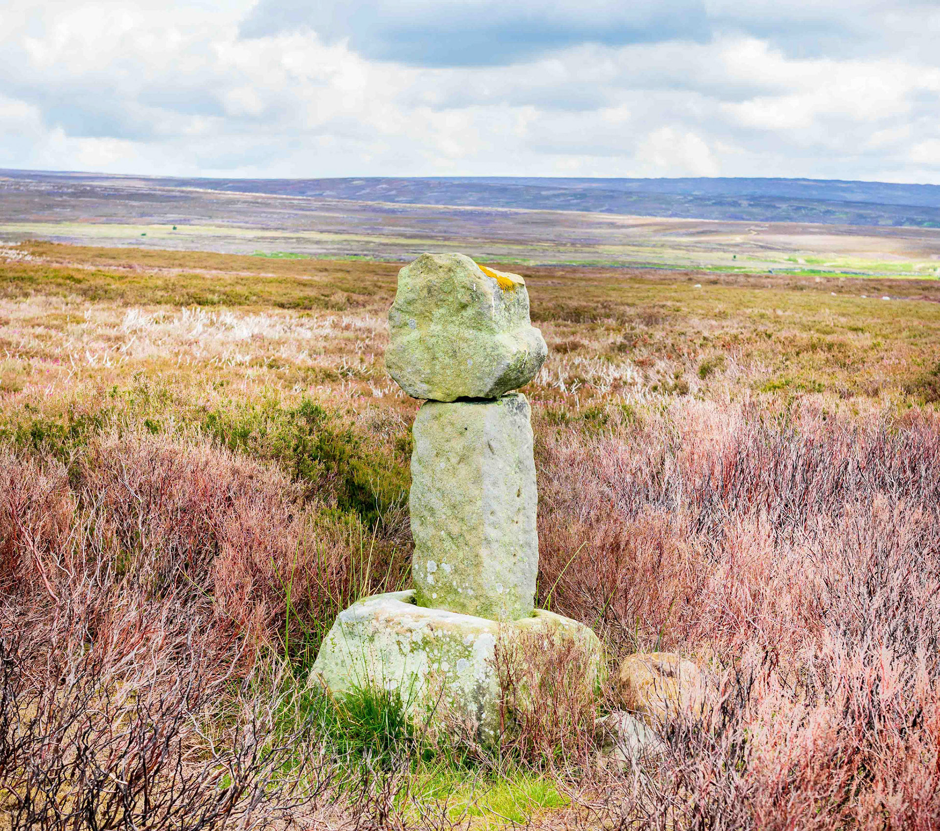 Roppa Cross South - Helmsley Moor North York Moors UK 2020