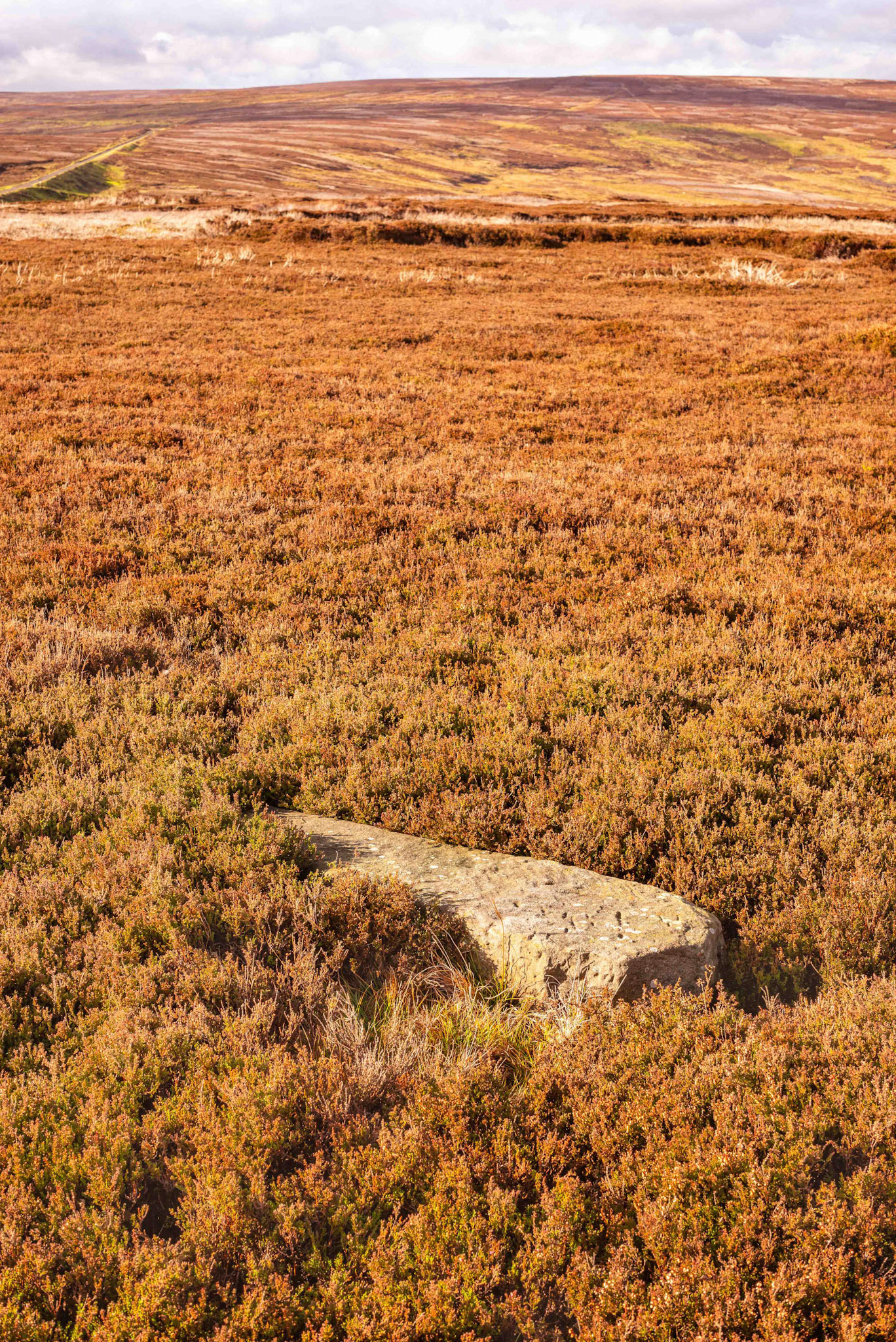 Esklets Cross - Westerdale North York Moors UK 2020