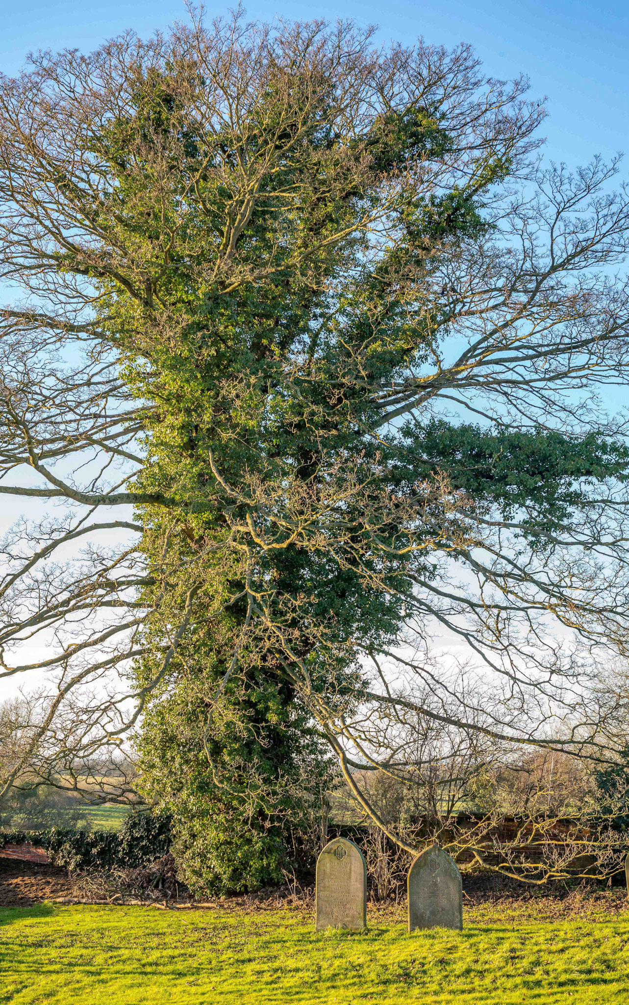 The Metcalfes - St Stephen's Church Aldwark North Yorkshire UK 2018