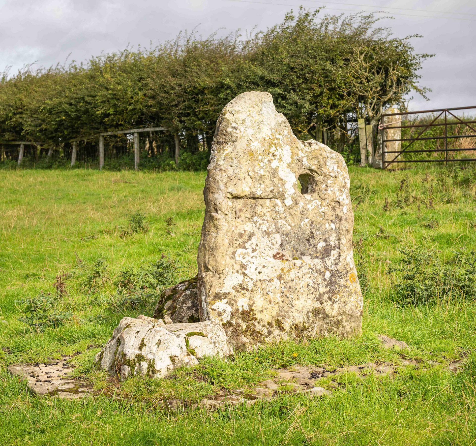 Low Cross - Appleton le Moors North York Moors UK 2020