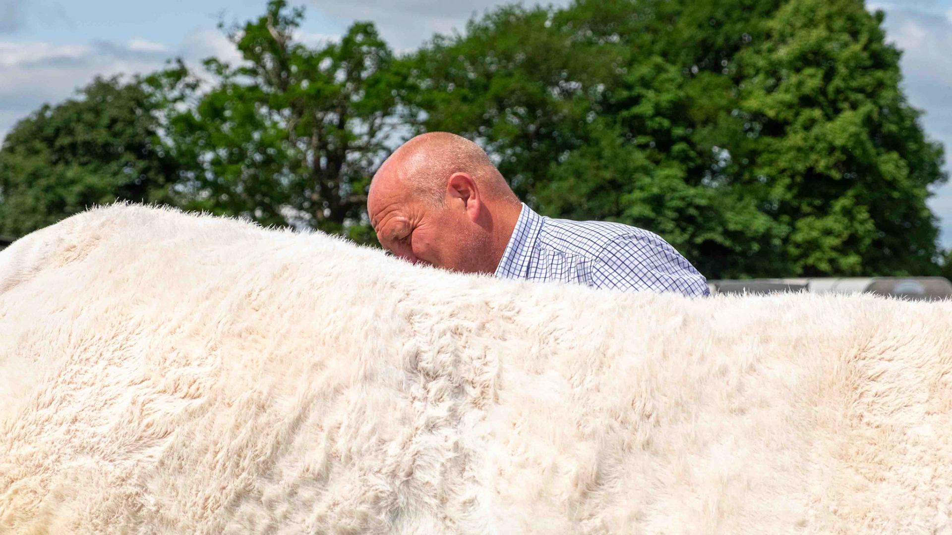 Grooming at Otterington Country Show - North Yorkshure UK