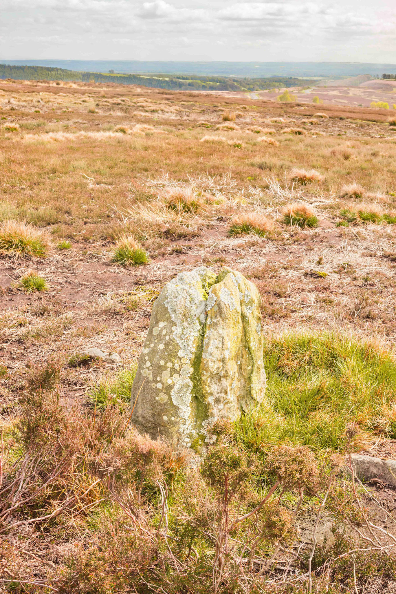 Lund Road Standing Stone - Blakey Ridge North York Moors 2024