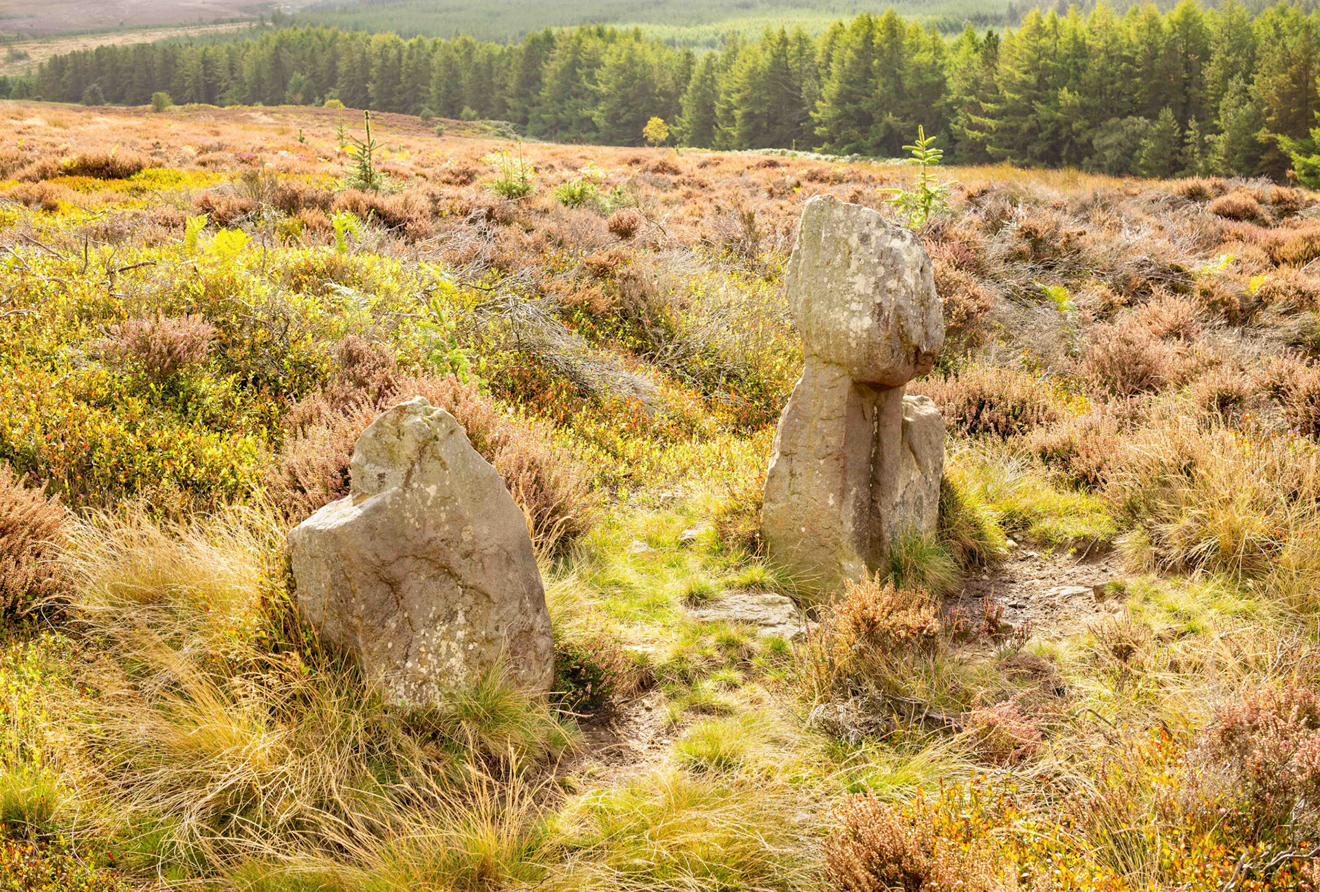 Old Wife's Neck - Bronze Age Standing Stones on the North York Moors UK 2022