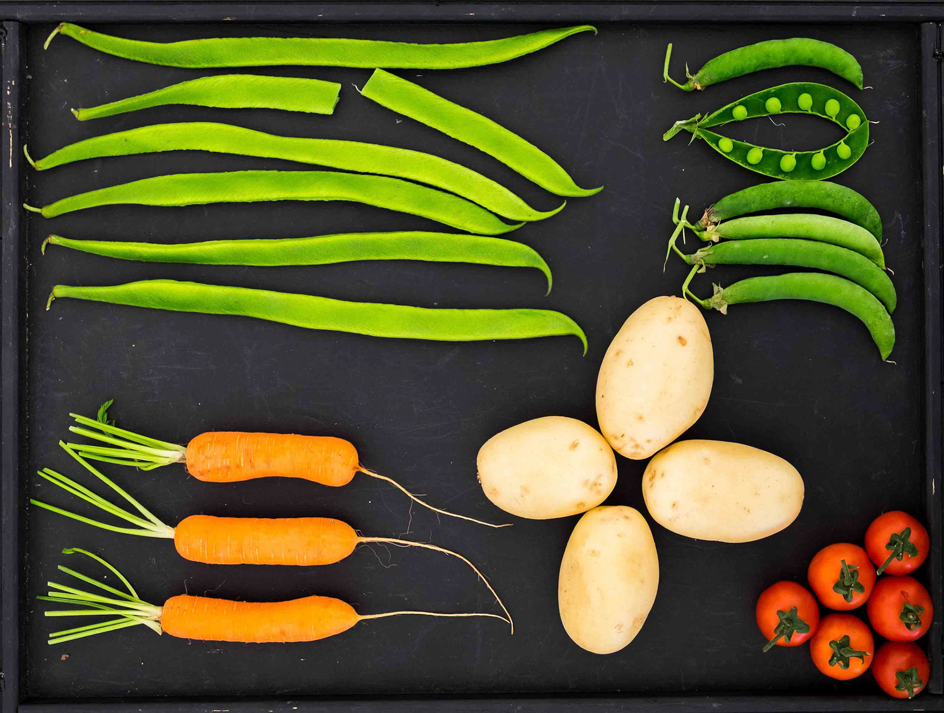 Vegetables - Ripley Show North Yorkshire UK 2017