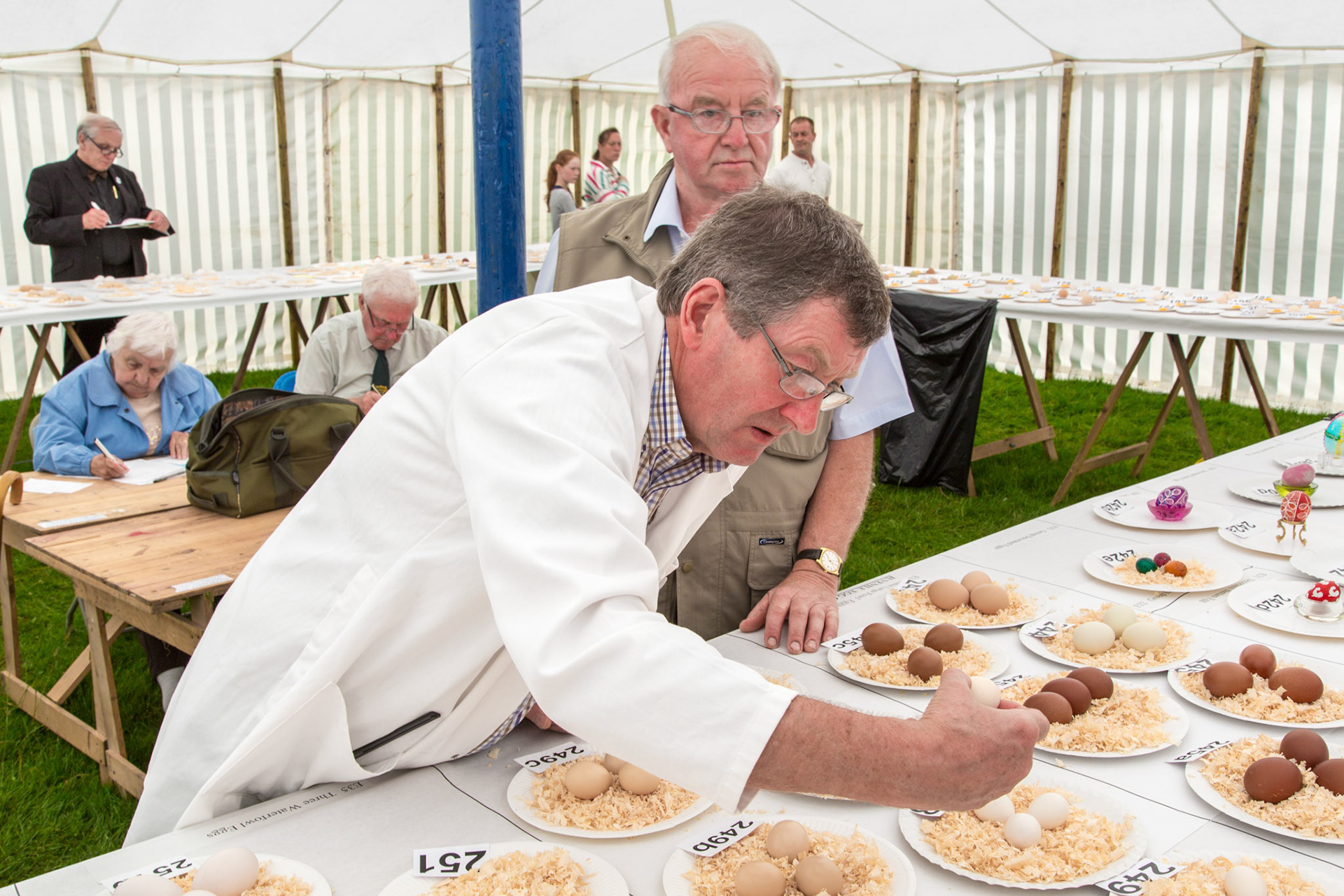 Egg Judging - Otterington Show North Yorkshire UK