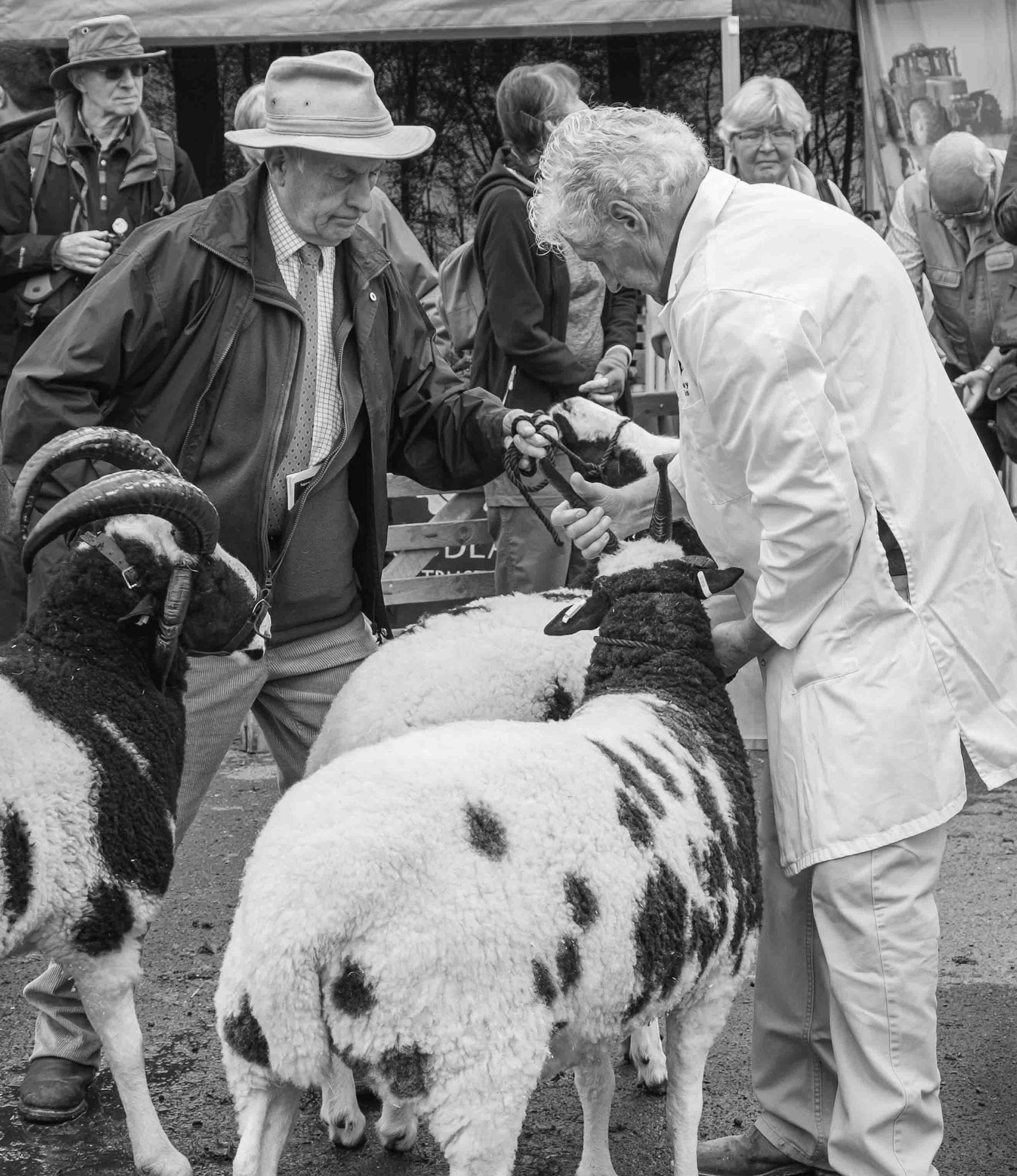 Left-Hand Thread - North Yorkshire UK 2019