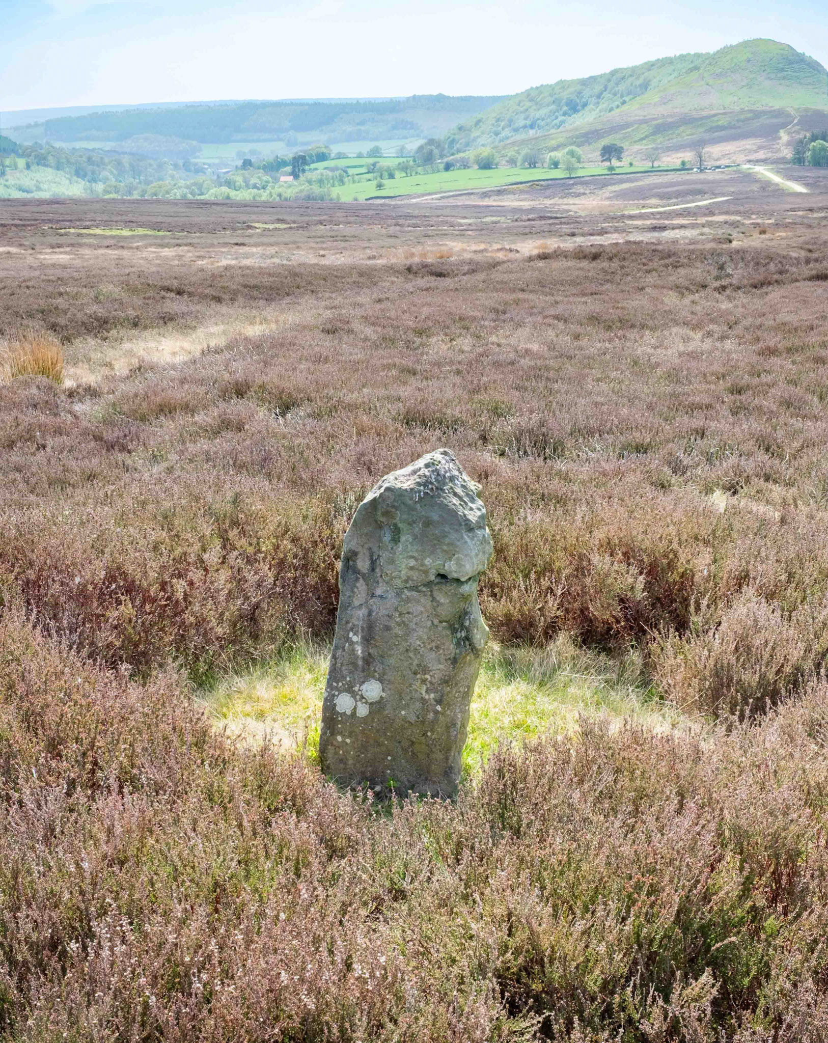 Long Hill Marker Stone on Hawnby Moor looking South - North York Moors UK