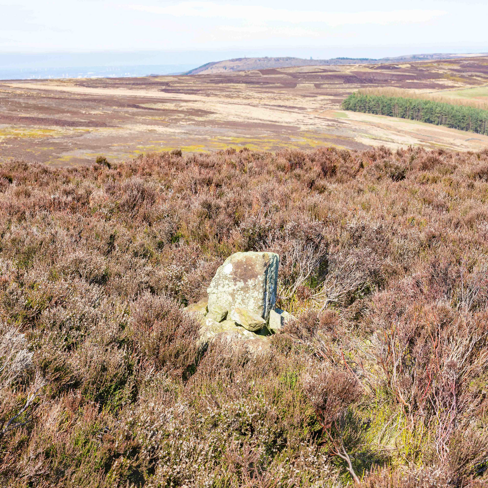 Baysdale Cross - North York Moors UK 2023