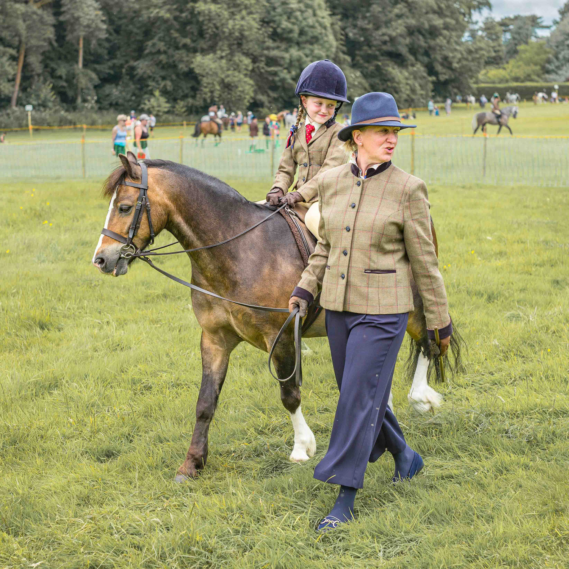 Horse Competition - North Yorkshire UK