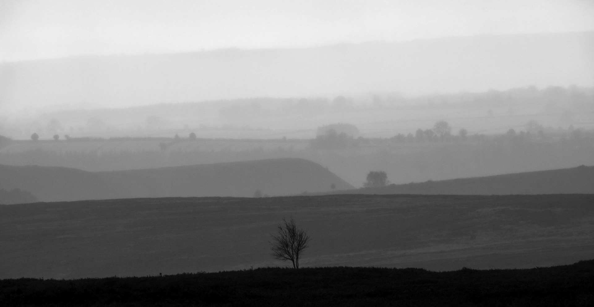 Mist - North York Moors 2017