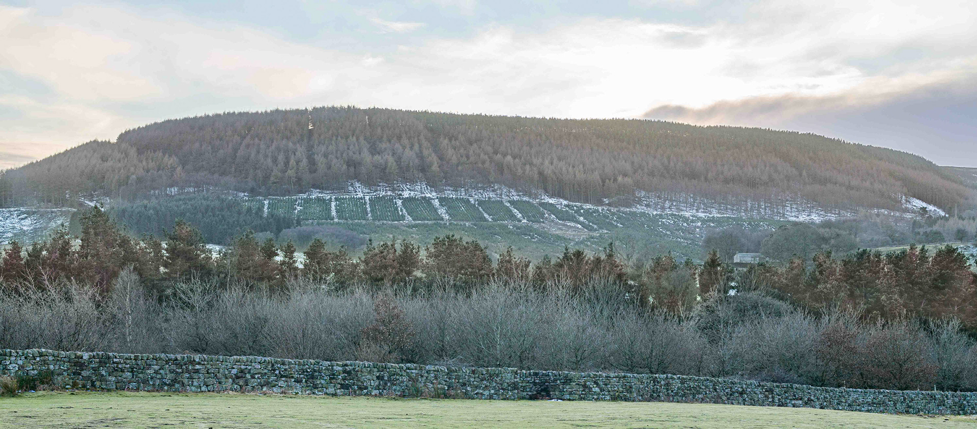 Landscape at Dusk - Hall Lane towards the River Rye - North York Moors UK 2017