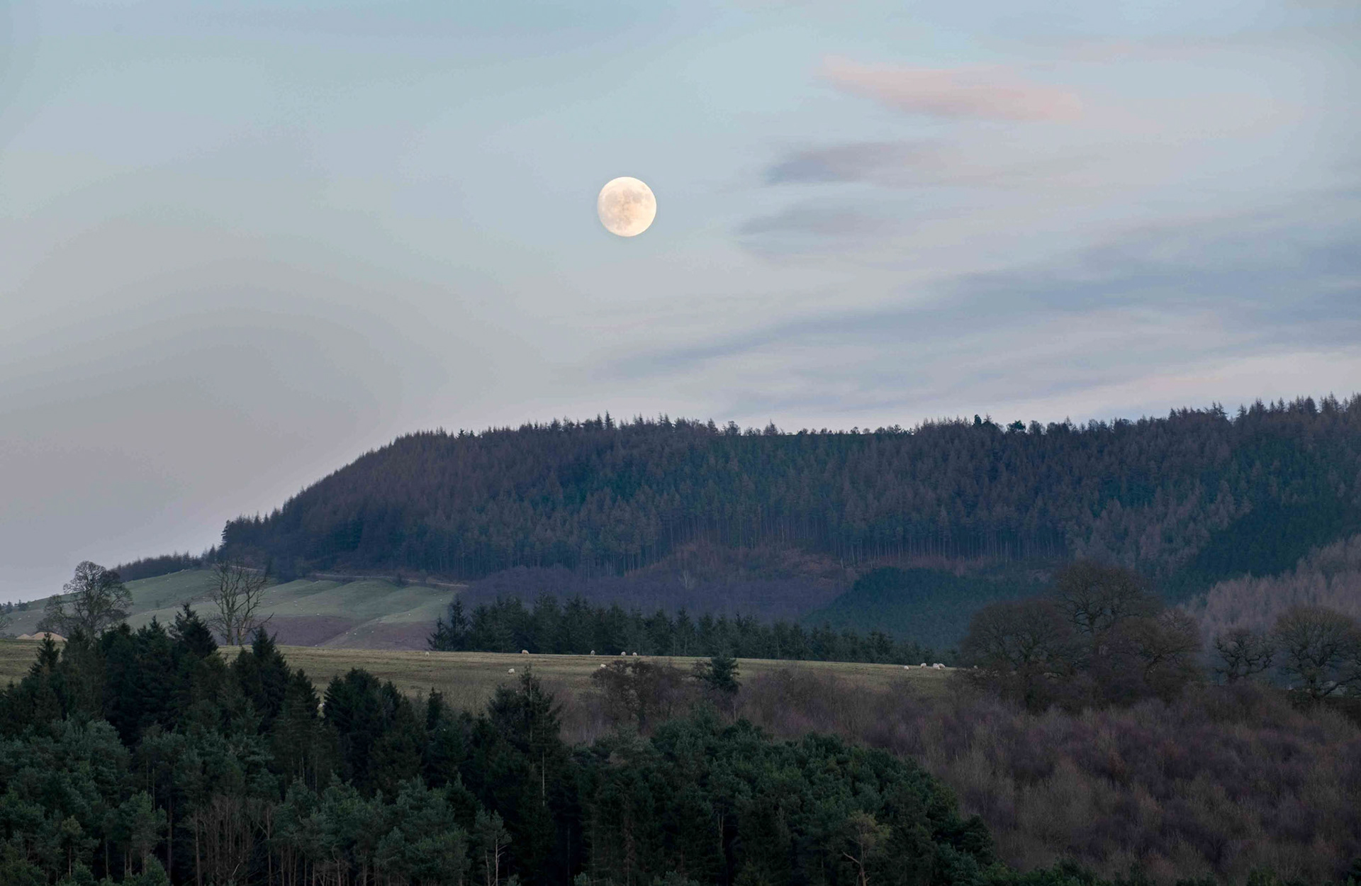 Landscape from Murton Bank - North Yorkshire UK 2017