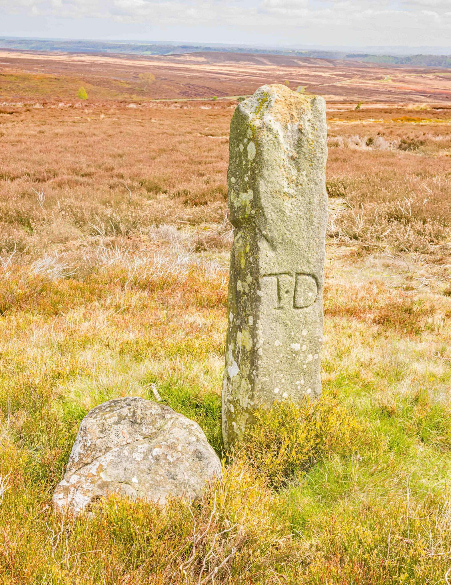 The Thorn Stone - Blakey Ridge North York Moors UK 2024