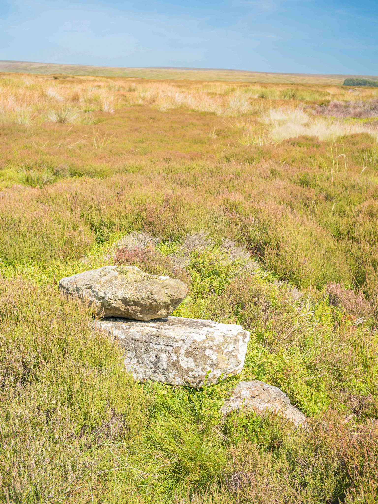 Hole Stoop on Blakey Ridge Looking North - North York Moors UK 2024