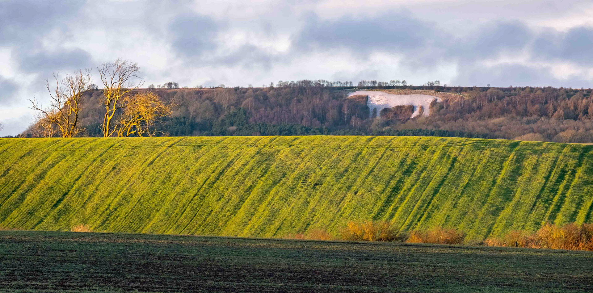 The Kilburn White Horse - North Yorkshire UK 2017
