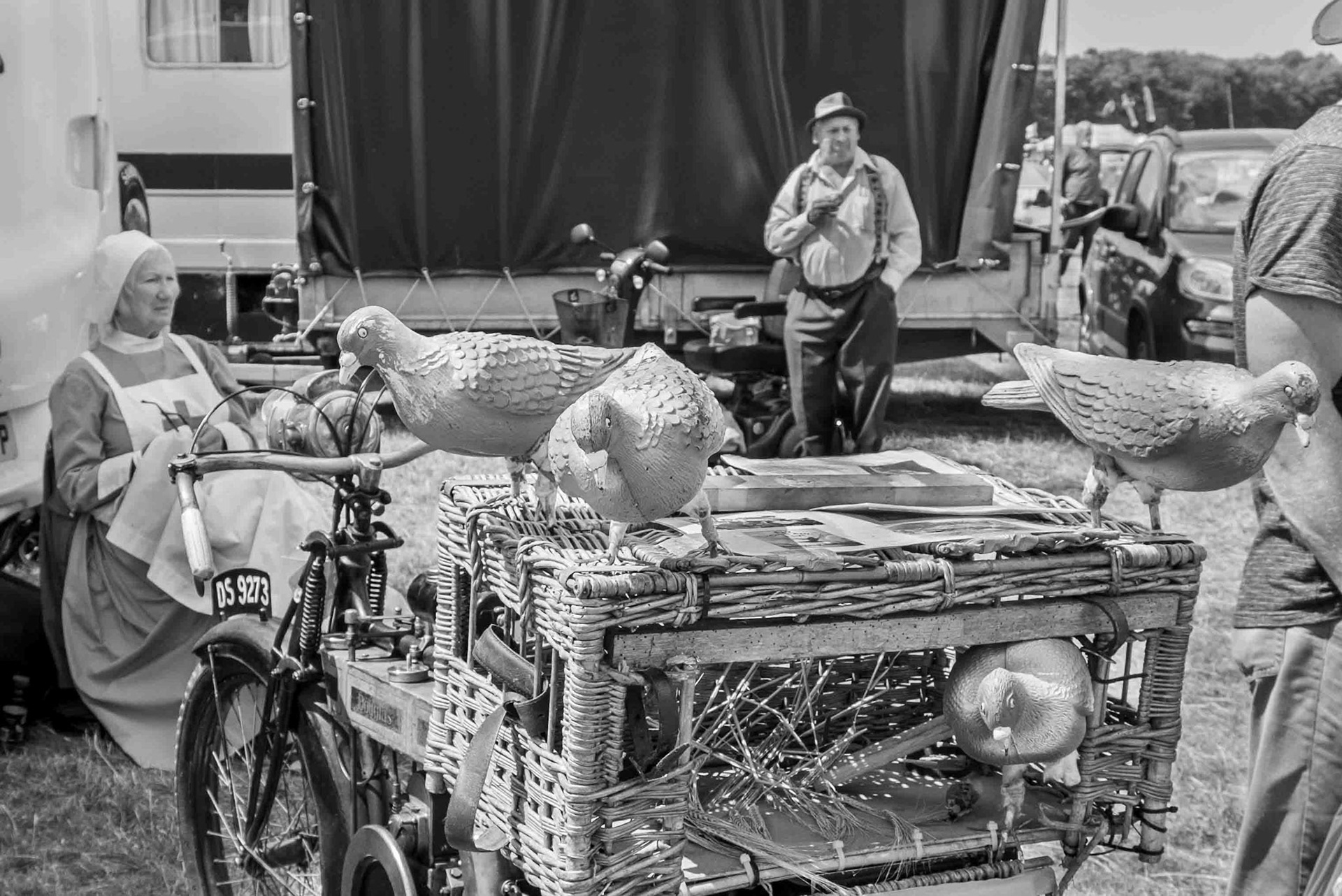 Homing Pigeons - Duncombe Park North Yorkshire UK