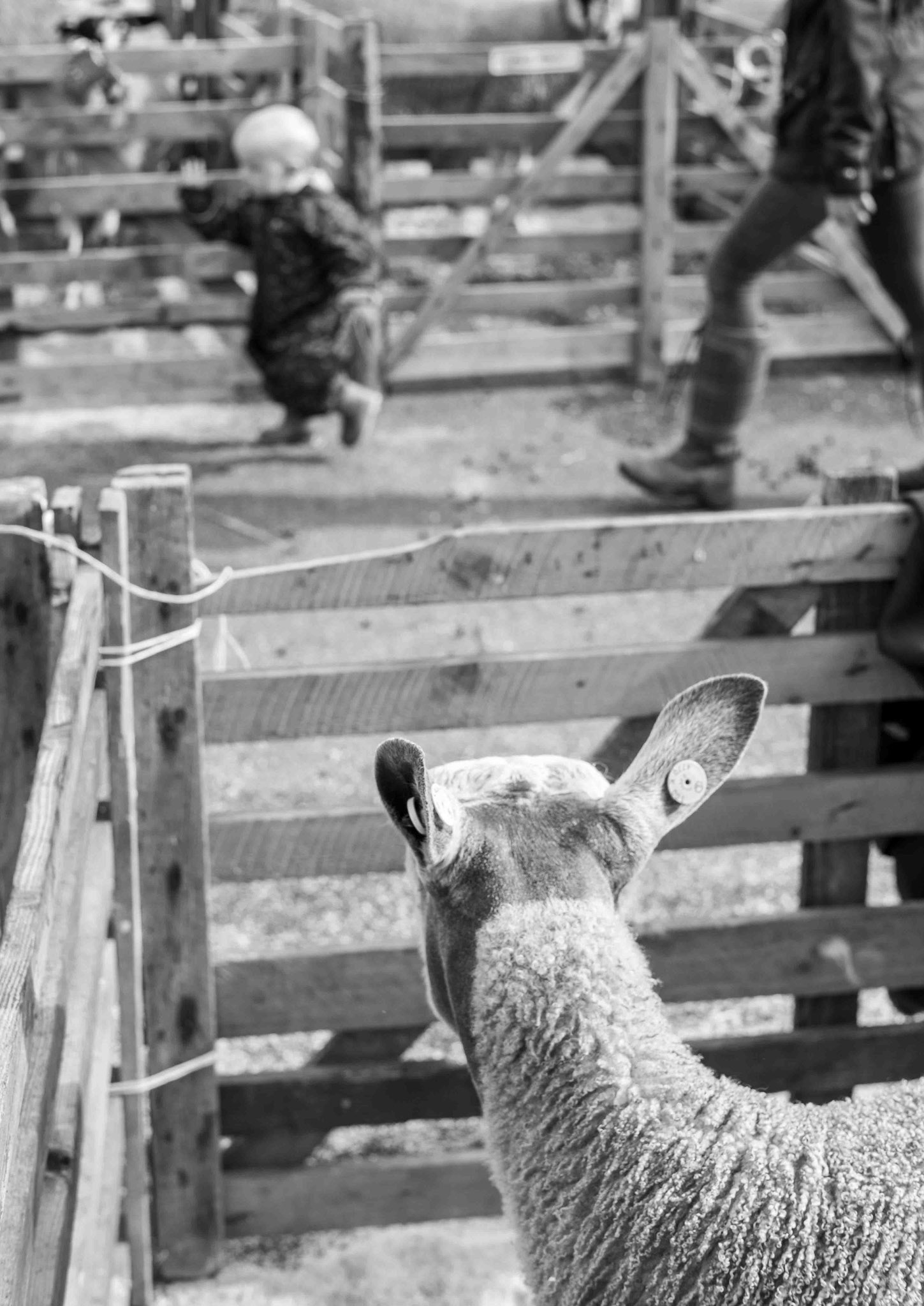 Escape - North Yorkshire UK 2019