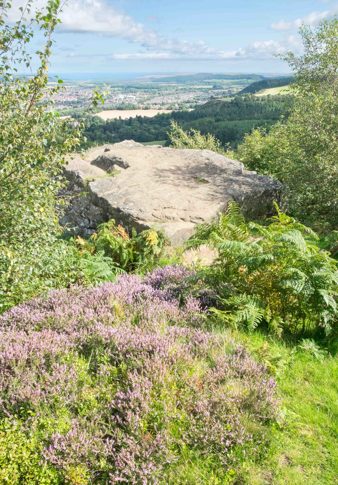 Hanging Stone top left view at Hutton Lowcross Woods - Hutton North Yorkshire UK 2023