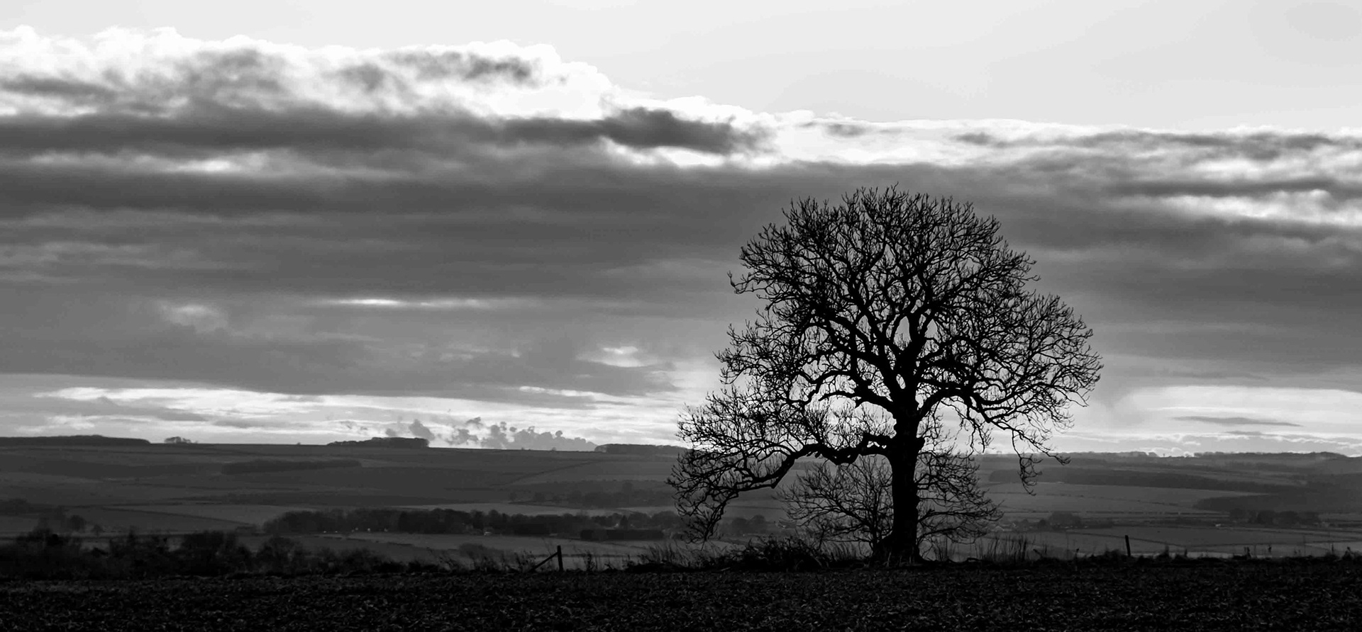 Landscape at Garton Hill Sledmere - East Yorkshire UK 2017