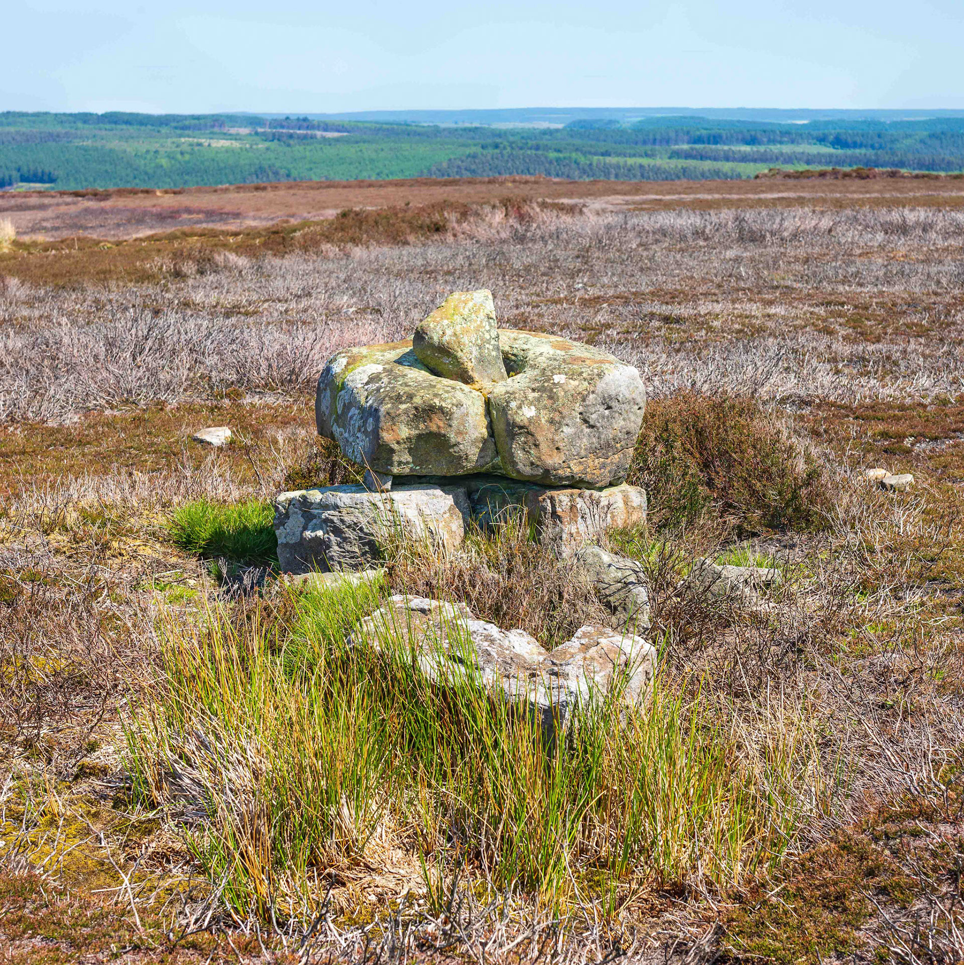 Redman Cross - North York Moors UK 2020