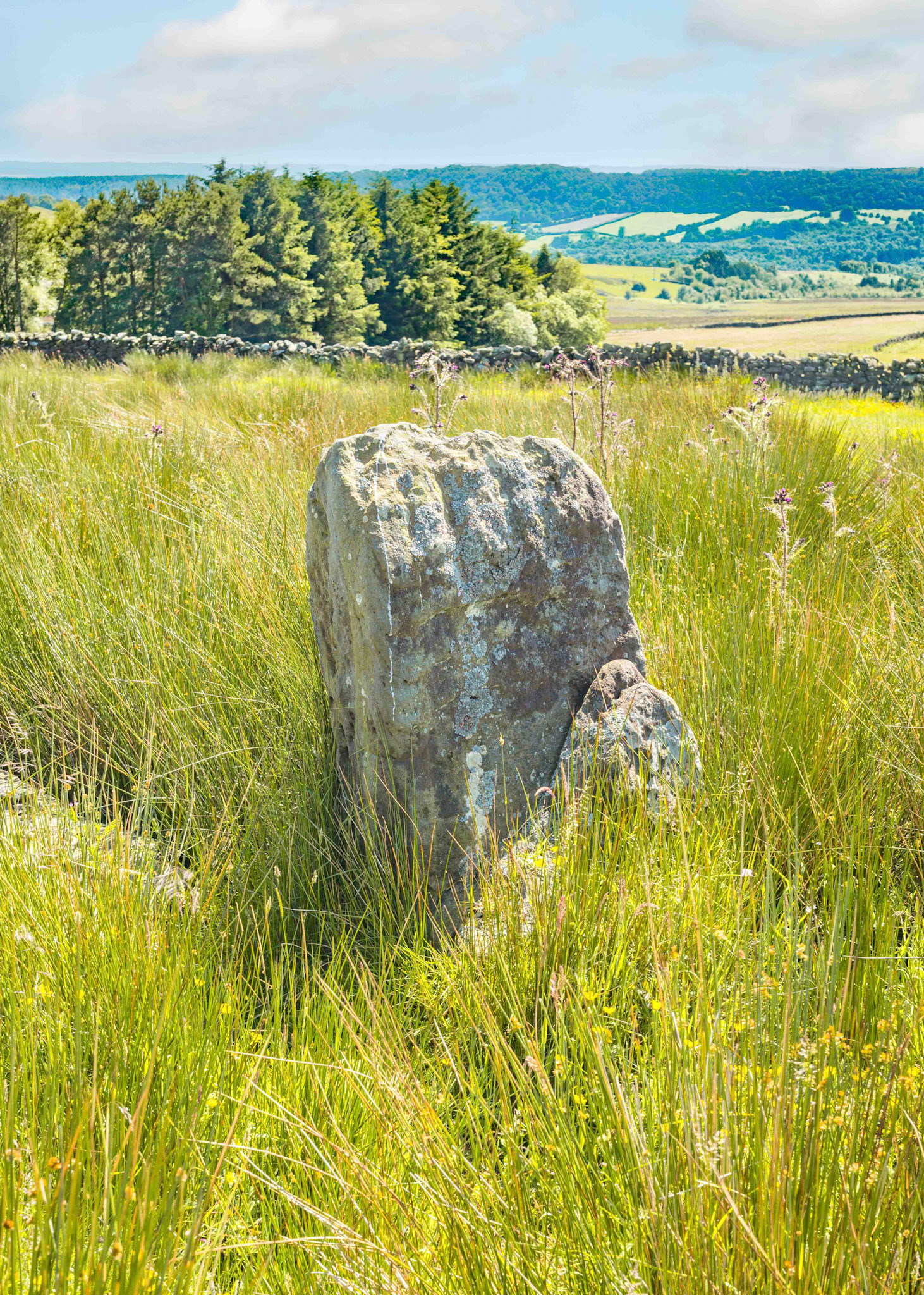 Bog House Standing Stone - North York Moors UK 2024