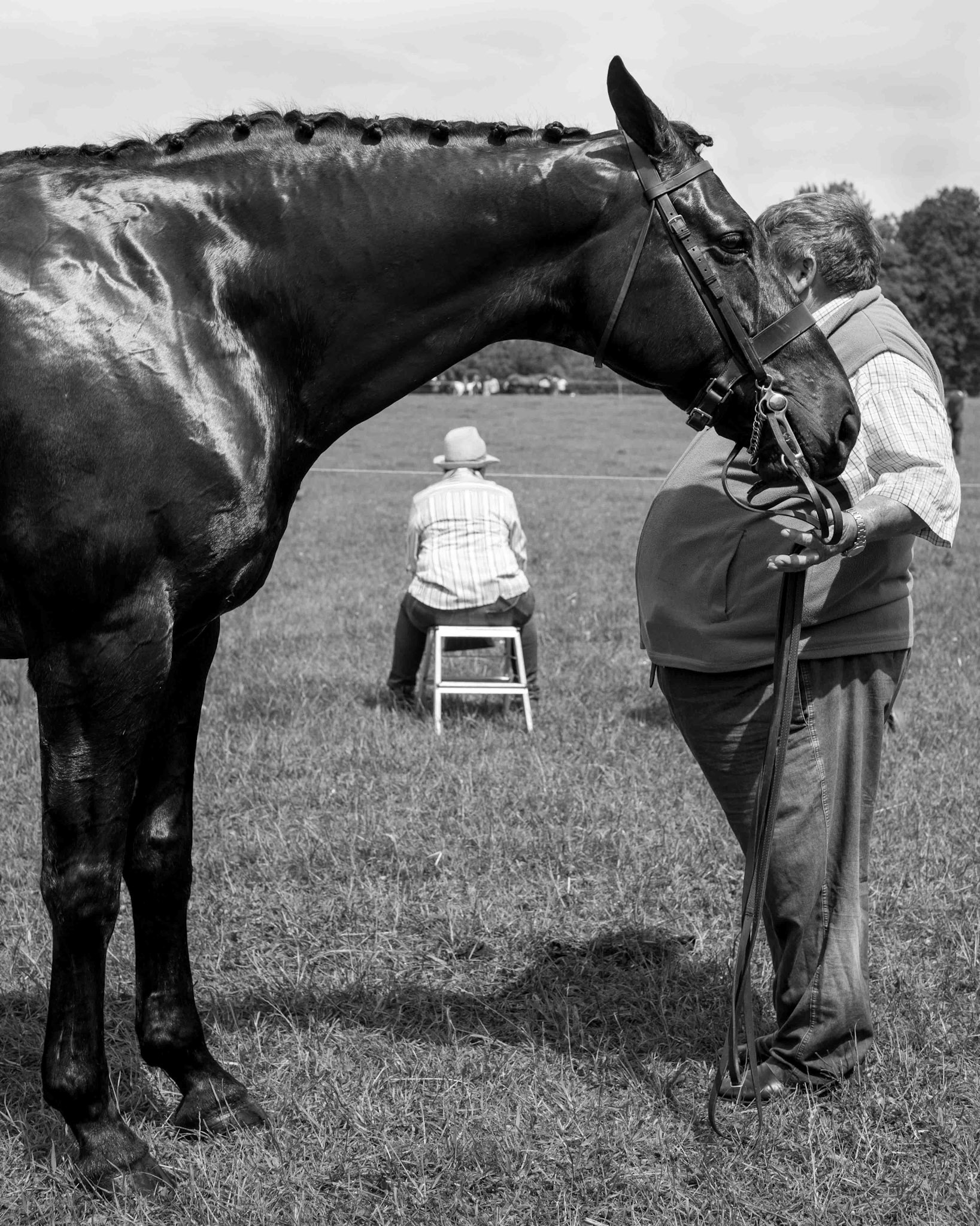Sutton-On-The-Forest Horse Show - North Yorkshire UK