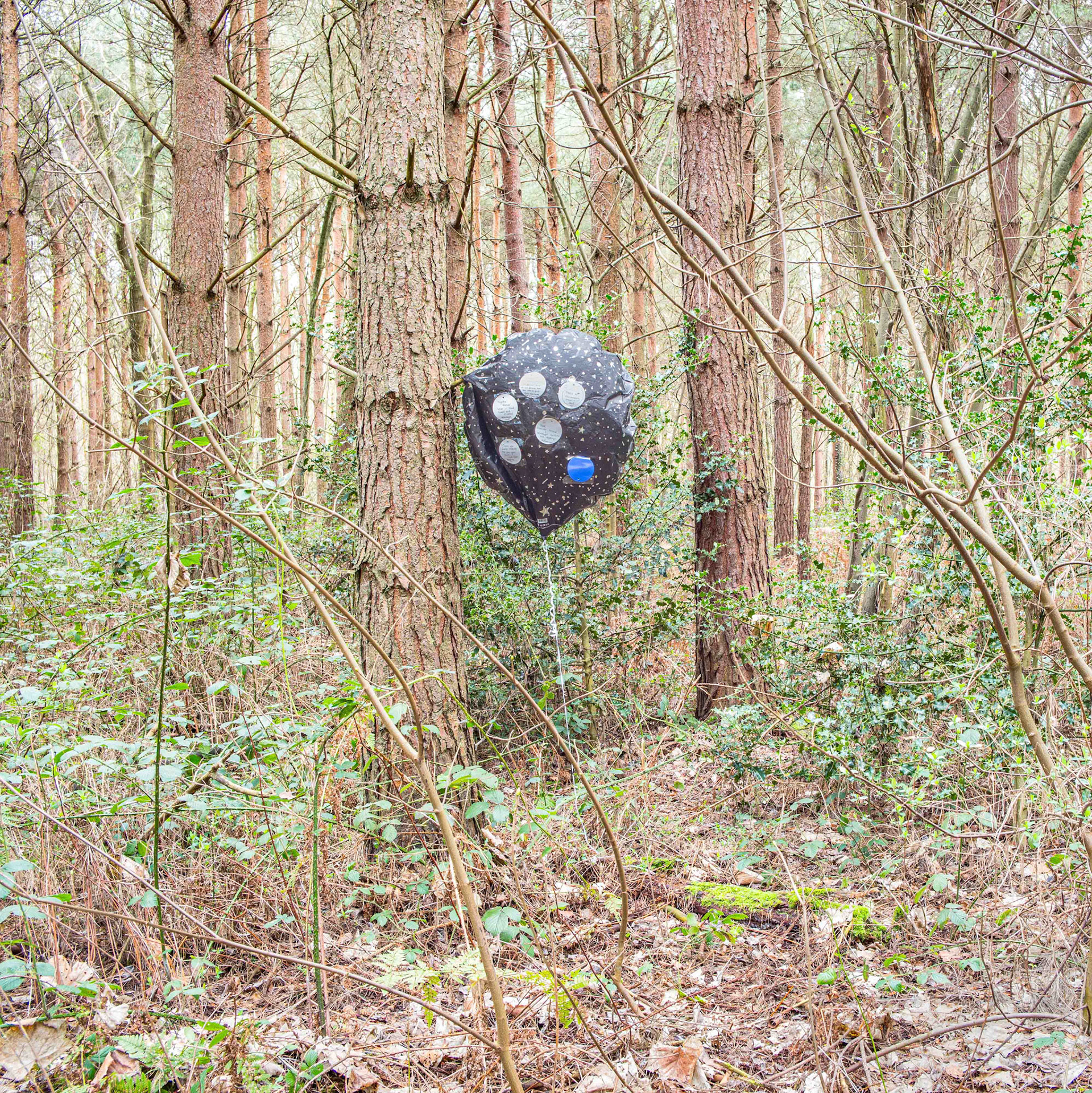 Memorial in a Forest - Yorkshire UK