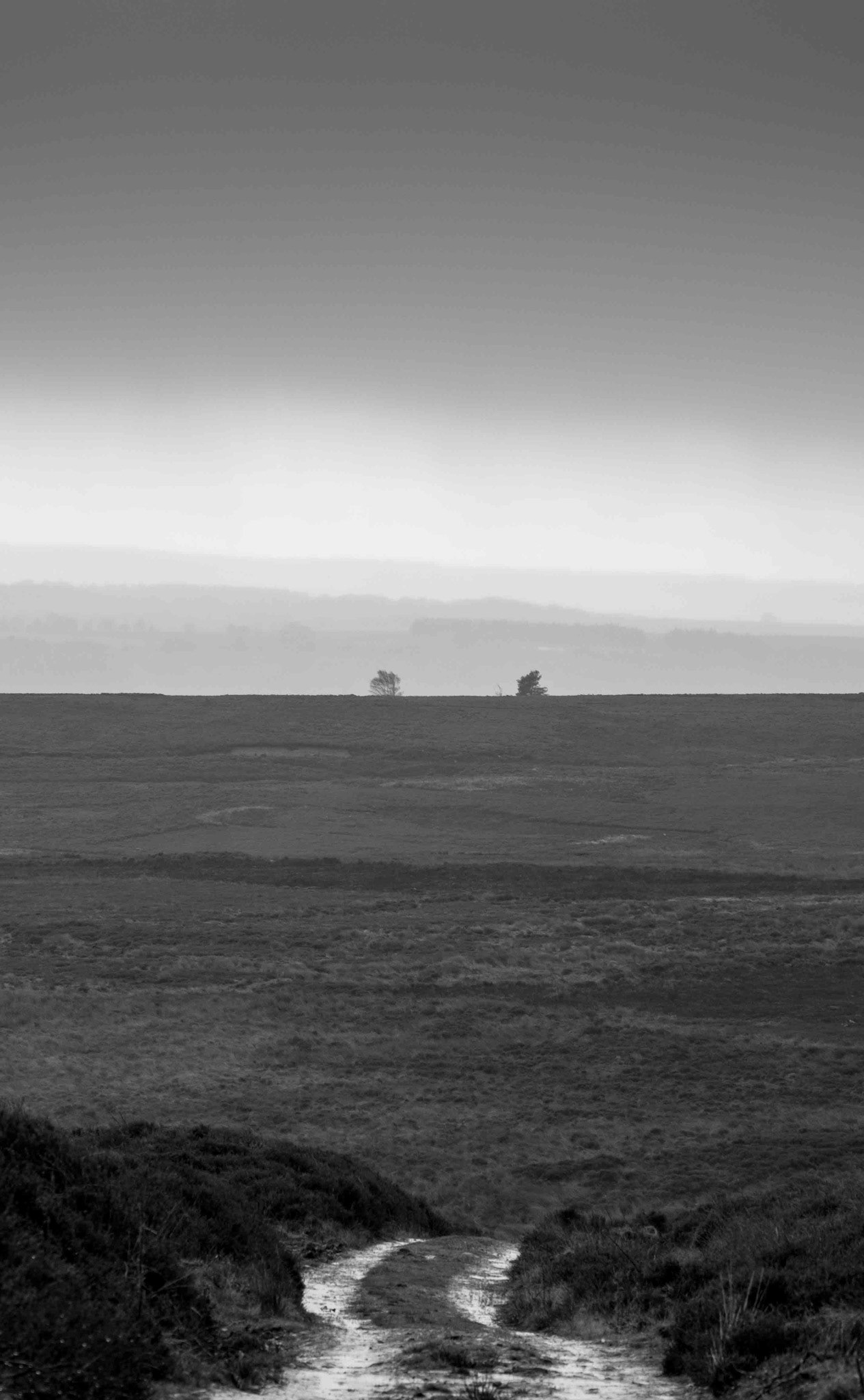 North York Moors in the Rain - North Yorkshire UK 2017