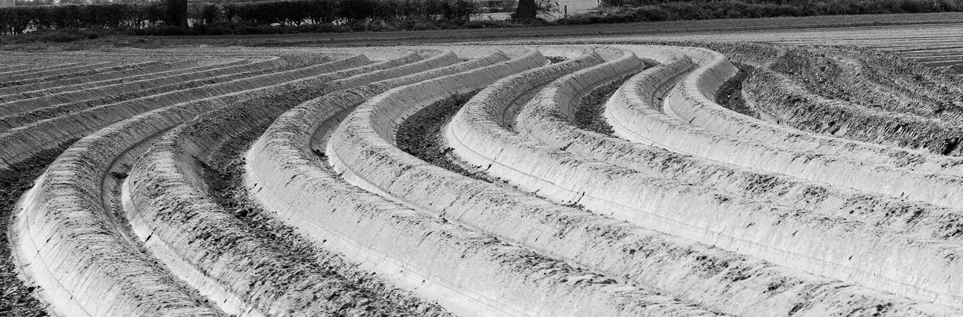 Big Furrows - B1363 Nr Huby North Yorkshire UK 2017