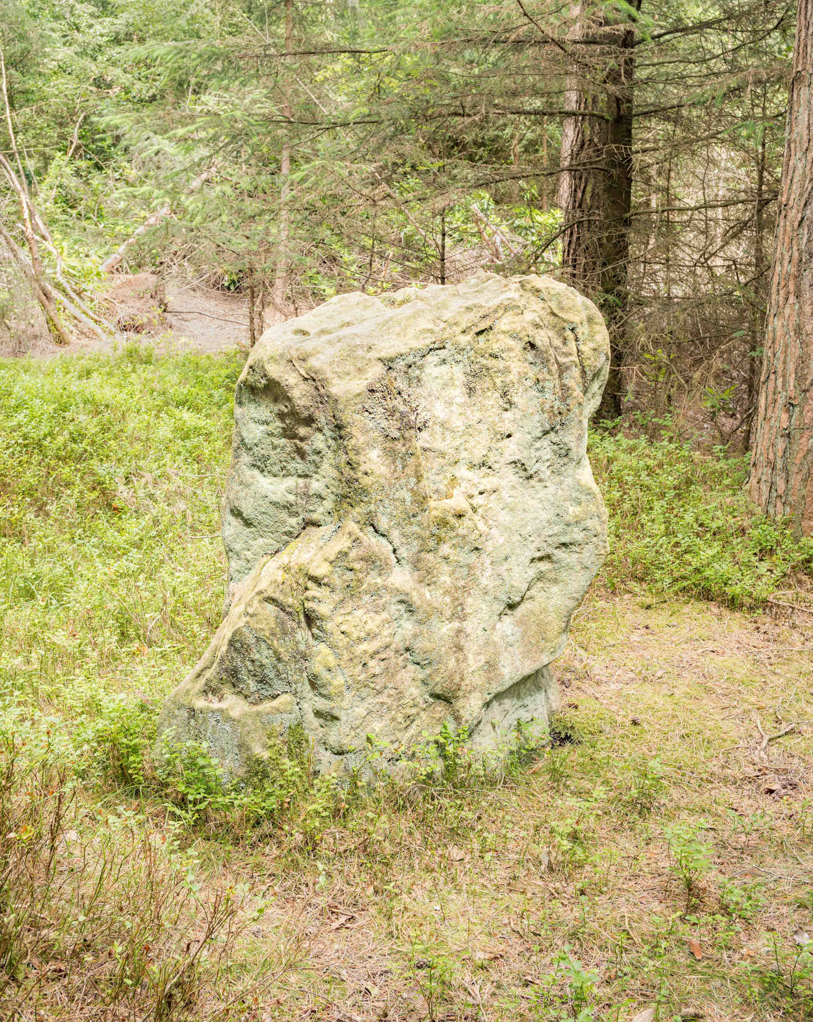 Black Park Standing Stone - North Yorkshire UK 2024