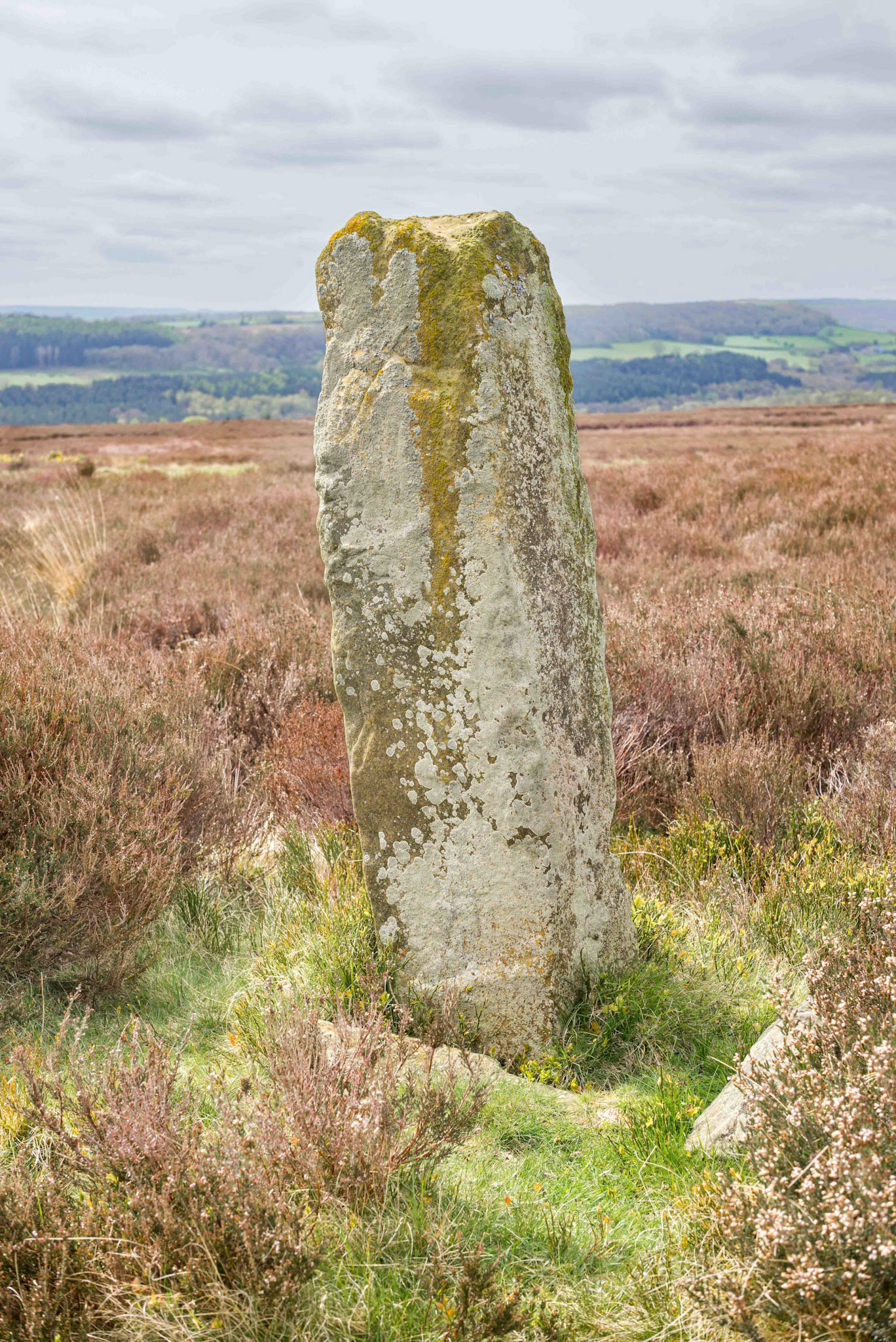 Blakey Road South BS1 East Face - North York Moors UK 2024