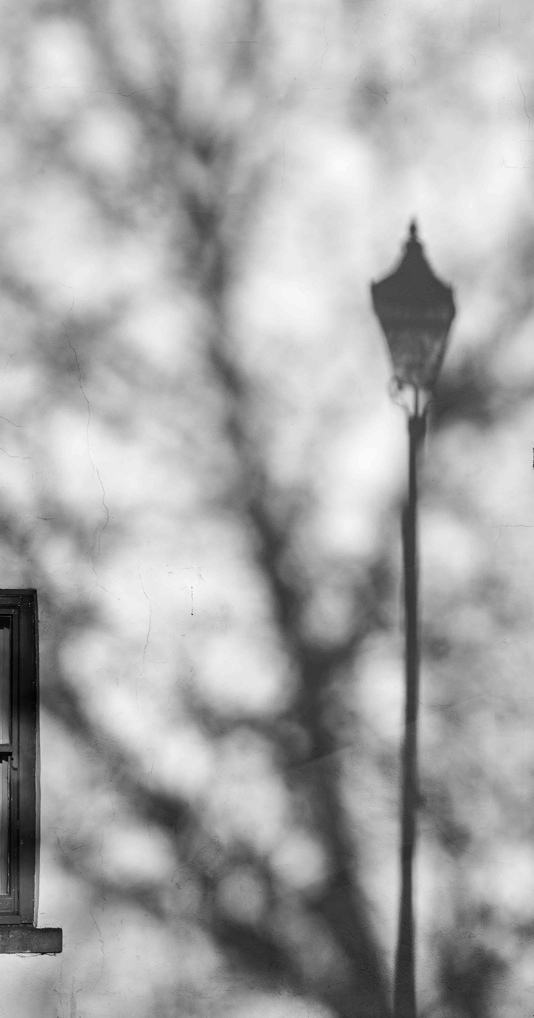 Shadows - Darlington UK 2022