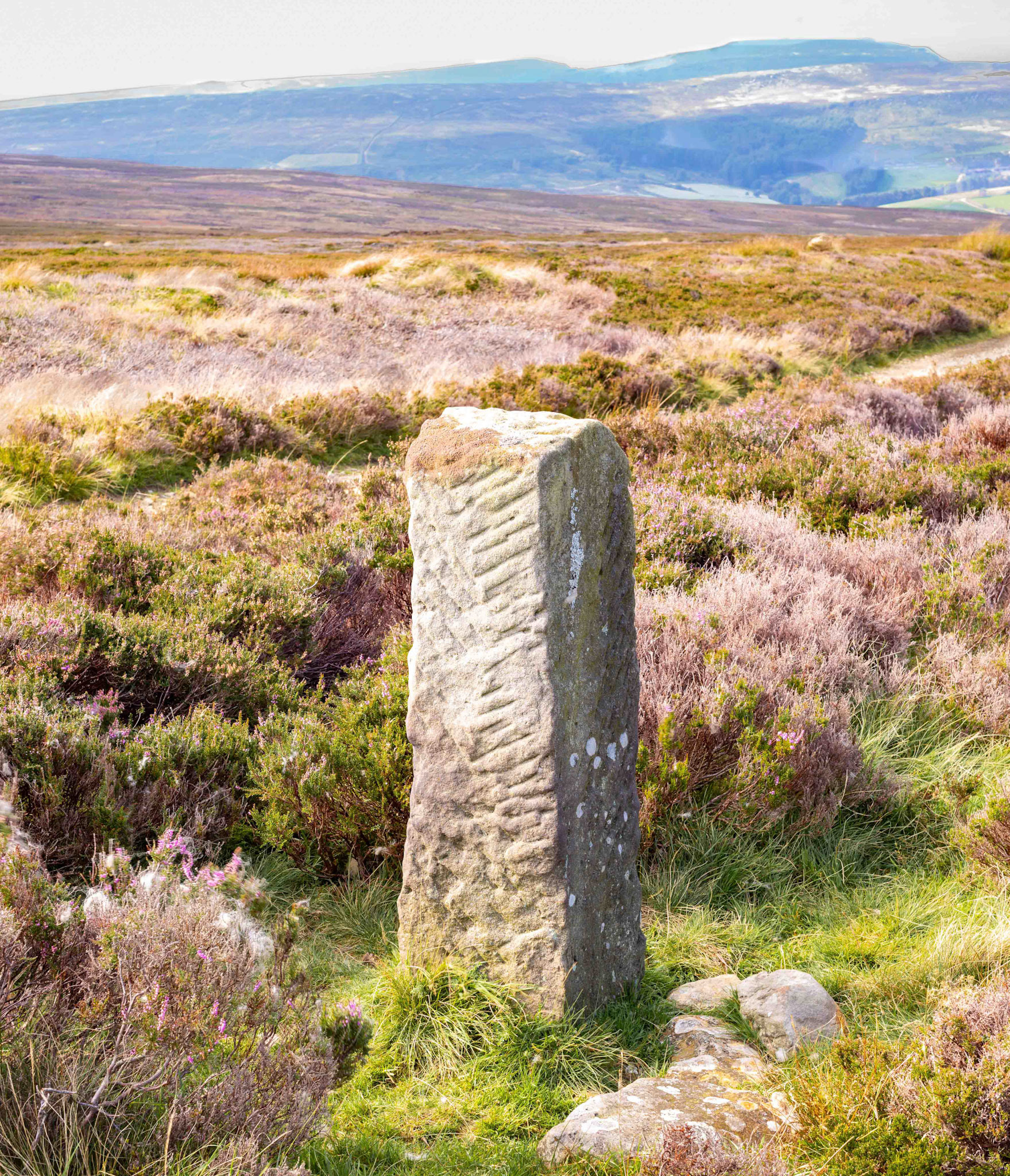 Marker Stone - Carr Ridge Urra Moor North York Moors 2021