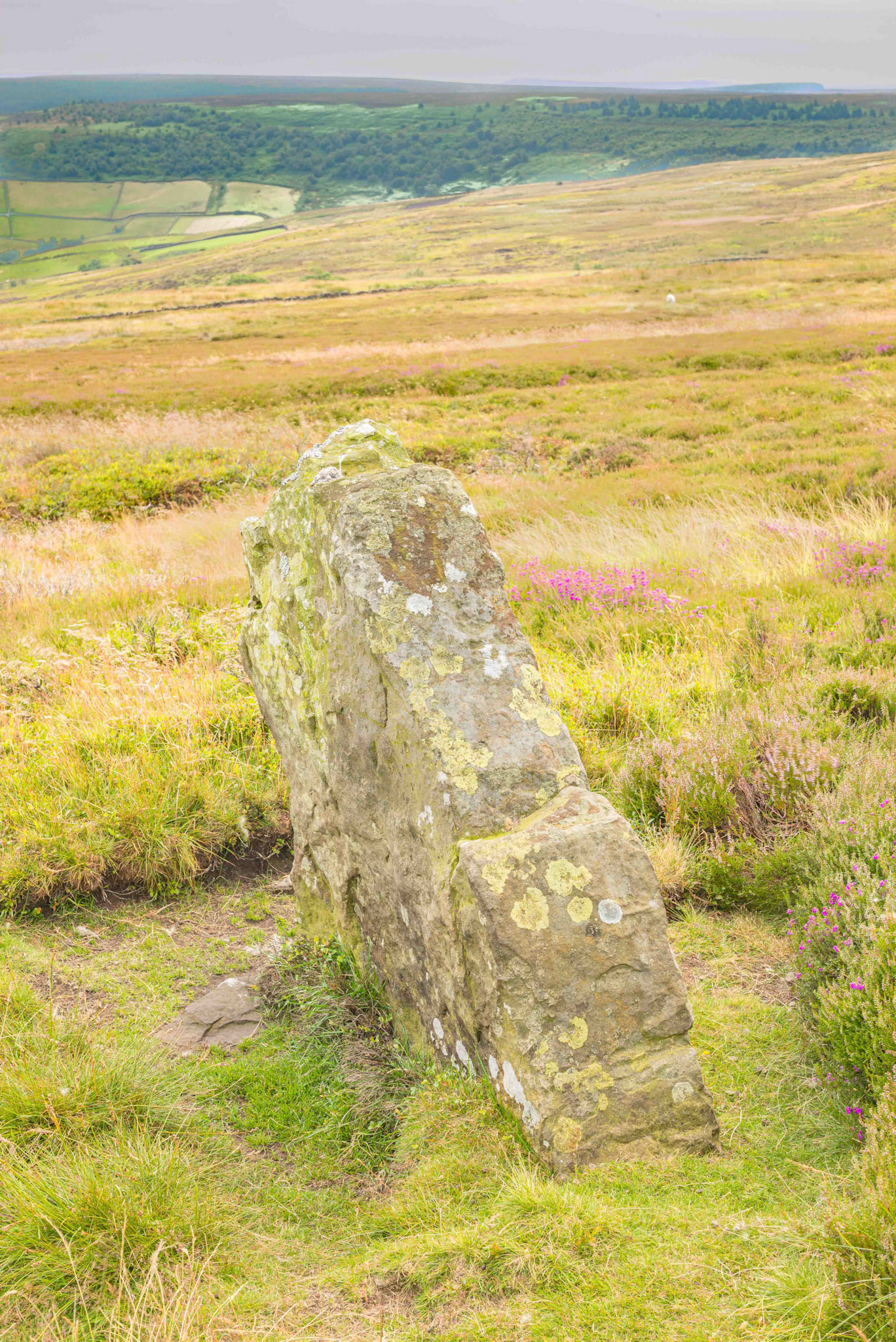Rokan Stone East View - Glaisdale Rigg North York Moors UK 2024