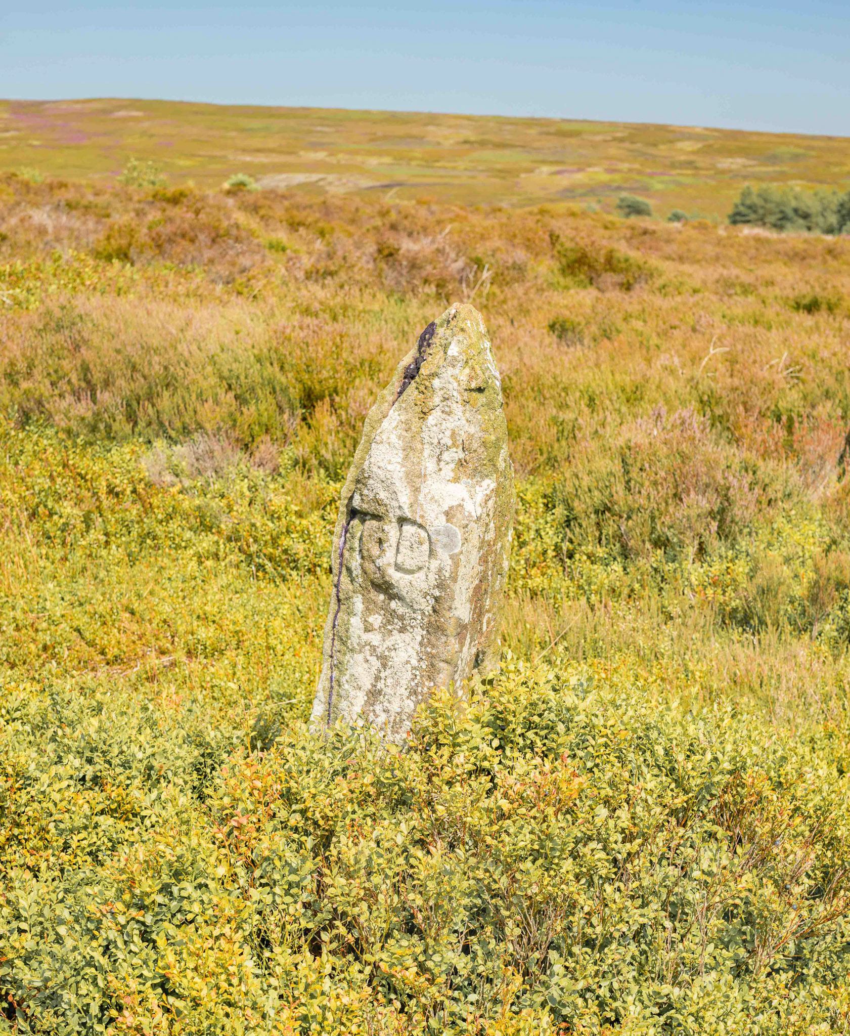 Pricket Thorn Stone Westerly showing TD engraving - North York Moors UK 2024