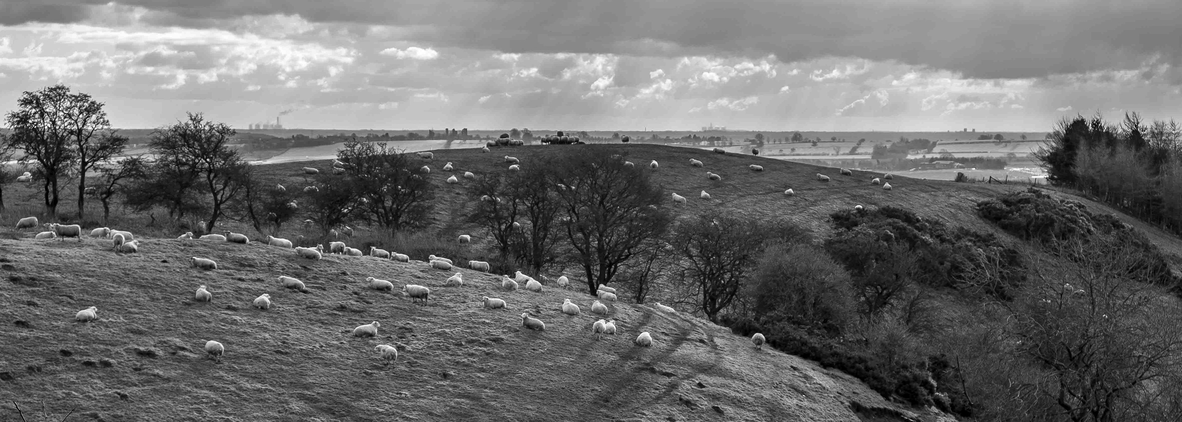 Landscape from Terrington Bank -  North Yorkshire UK 2018