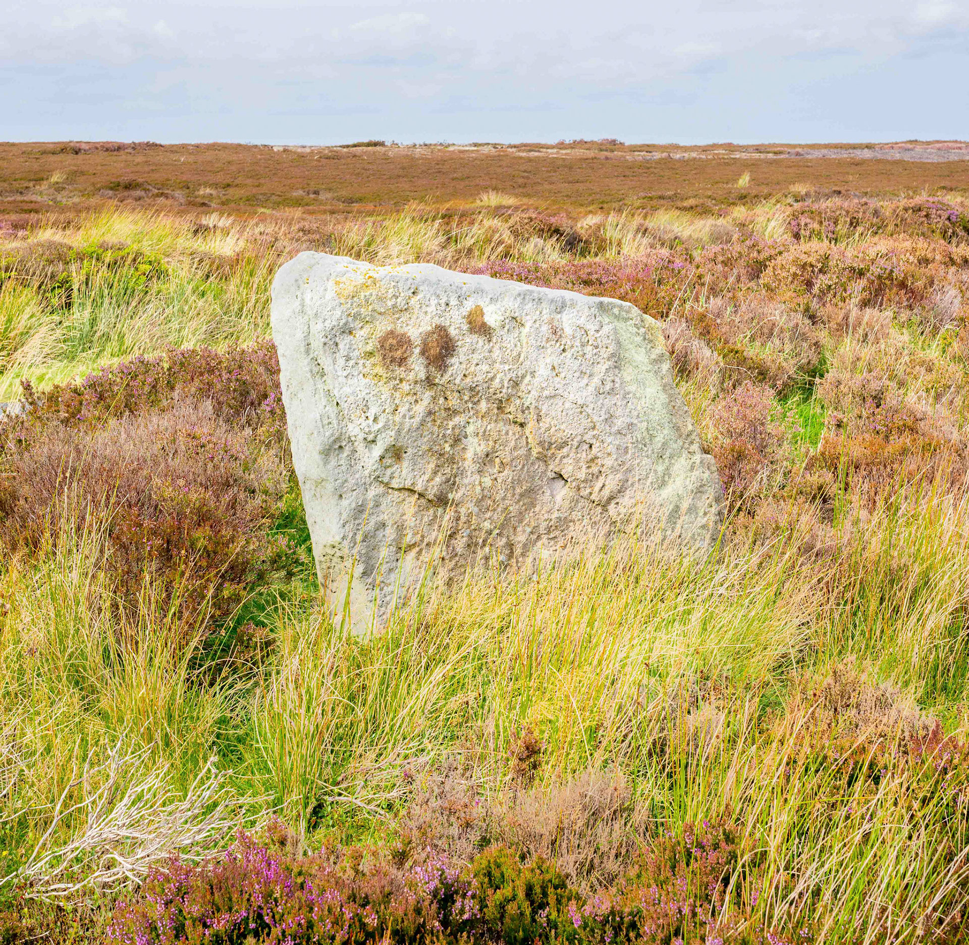Stone at Smith's Lane - Hamer Moor North York Moors UK 2020