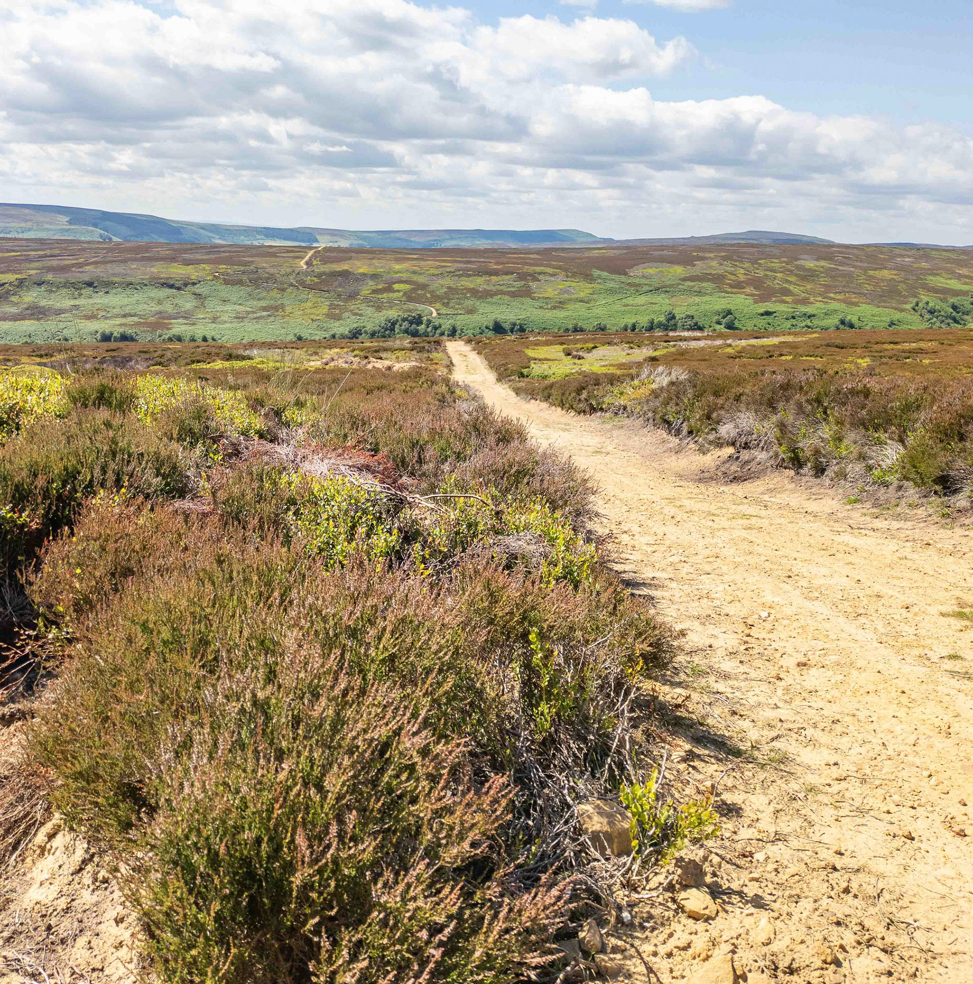 View looking West from Slape Wath Moor towards Tripsdale Beck - North York Moors UK