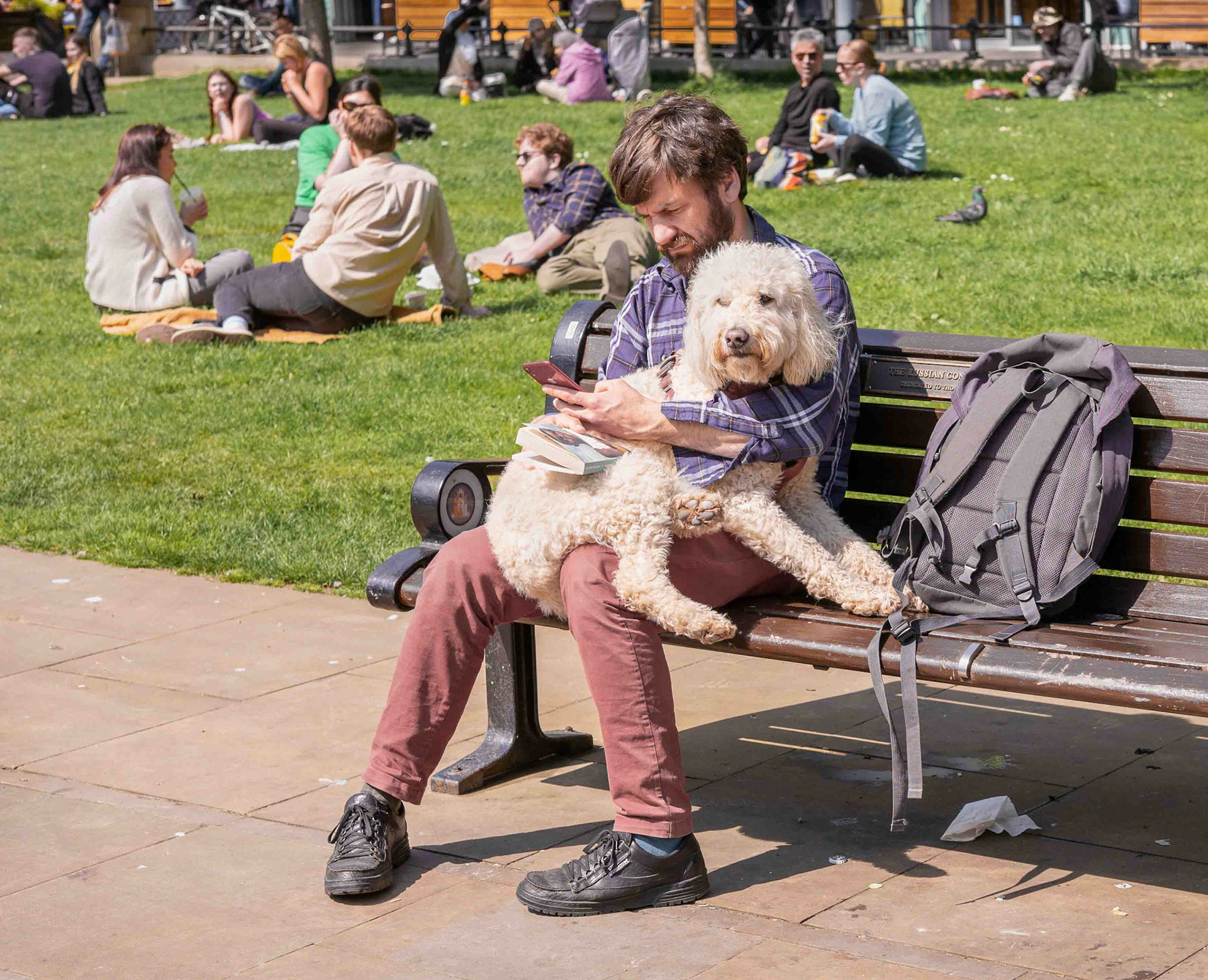 Man and Dog - Newcastle upon Tyne UK