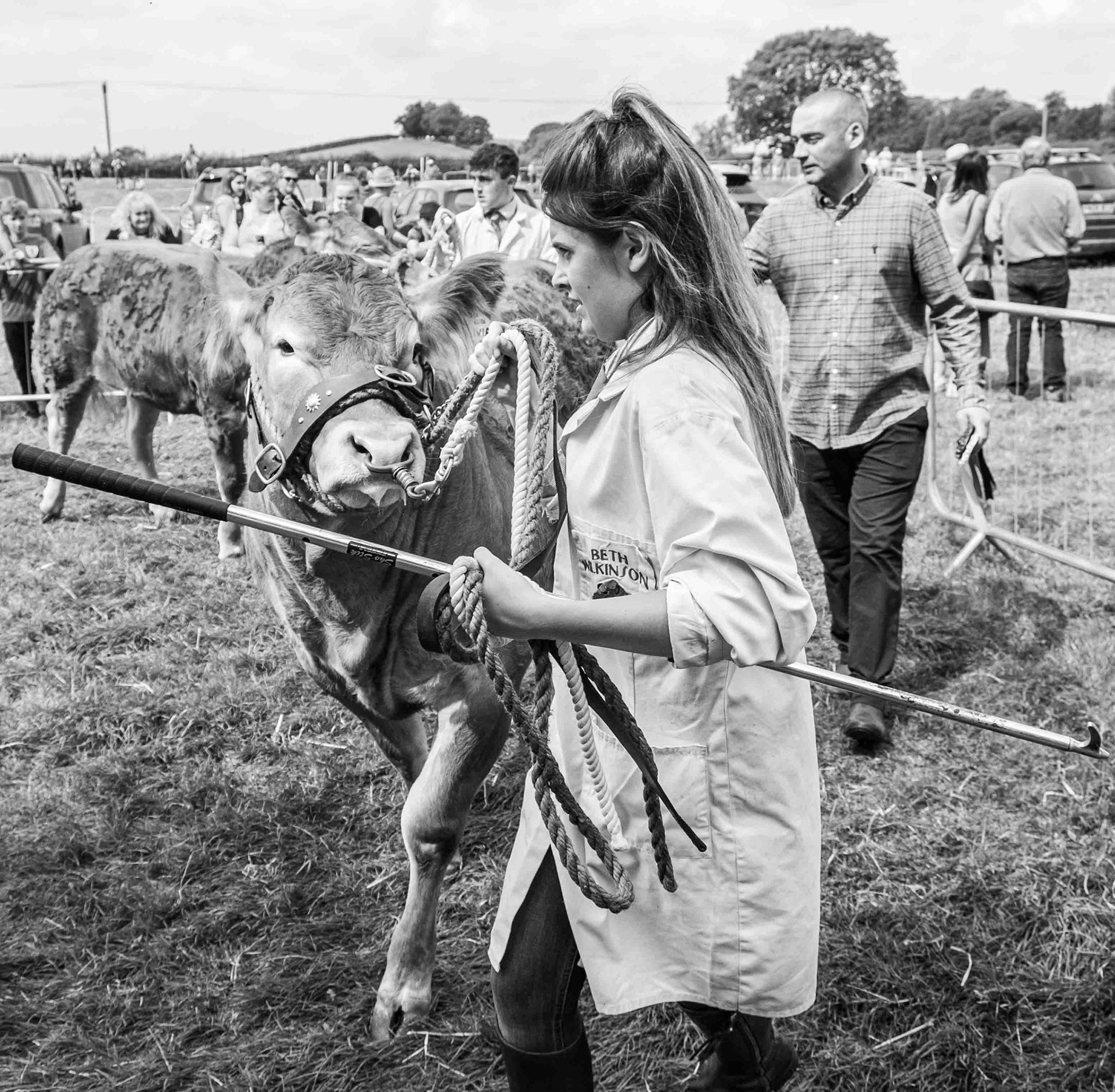 Herding - North Yorkshire UK