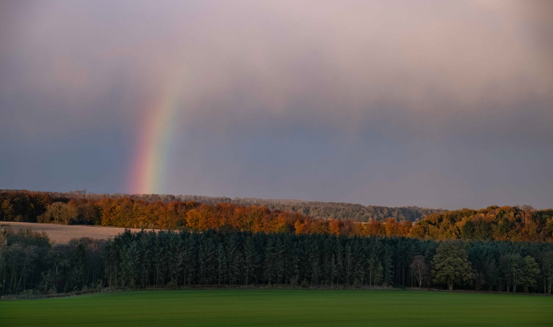 At The End of a Winter Day - North Yorkshire UK 2017